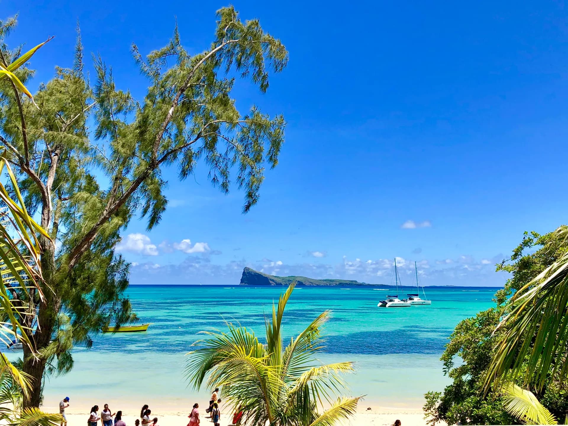 people by the beach during daytime