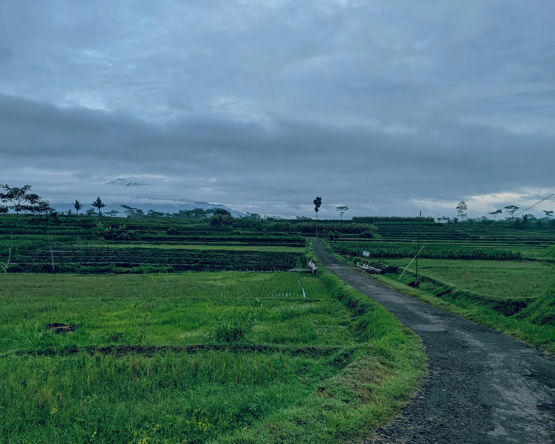 a dirt road through a field