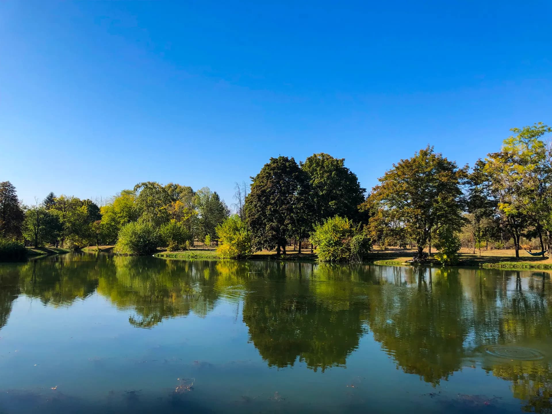 calm body of water near green leafed trees