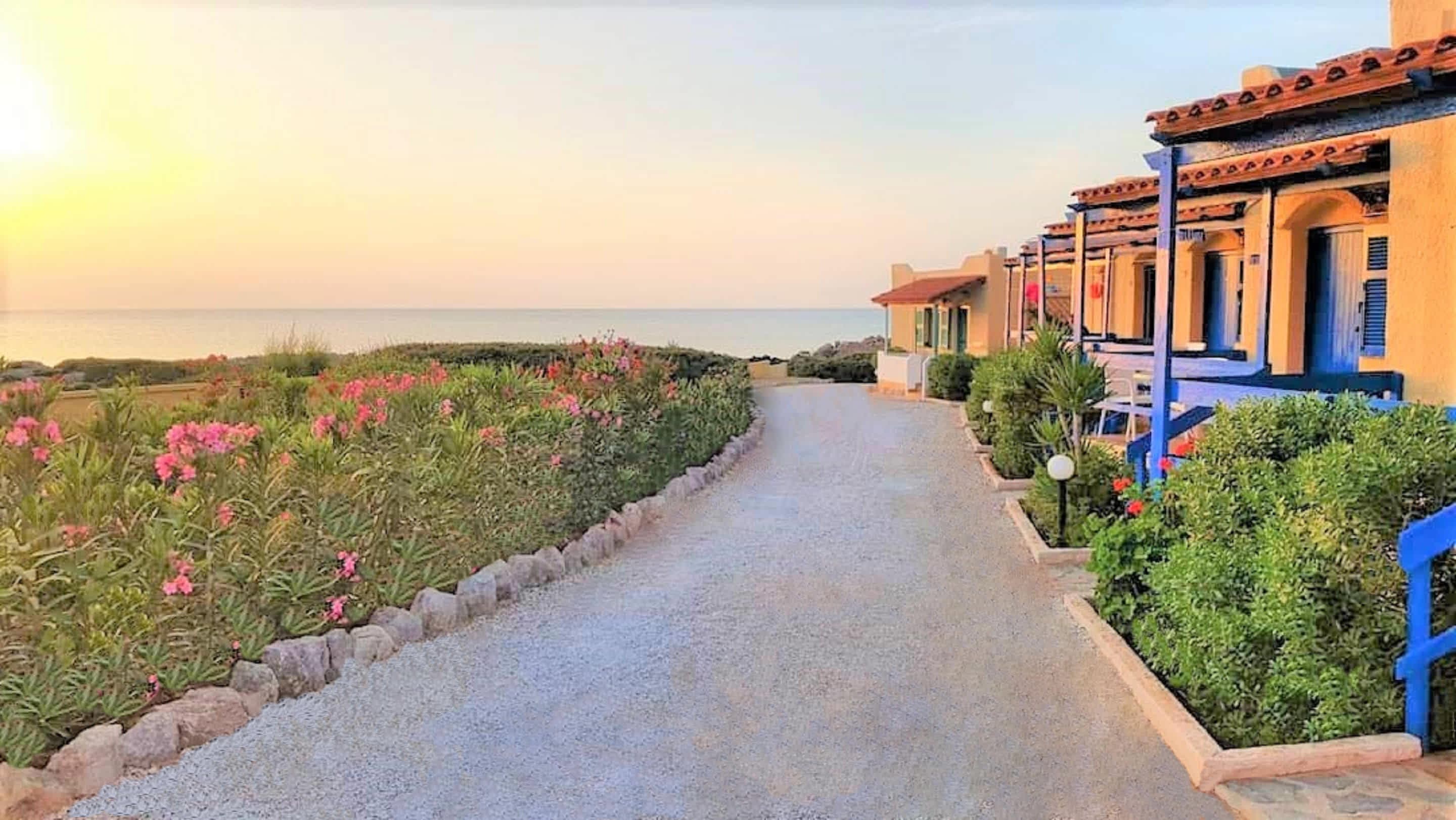 Zorbas Beach Village Hotel Ansicht 3