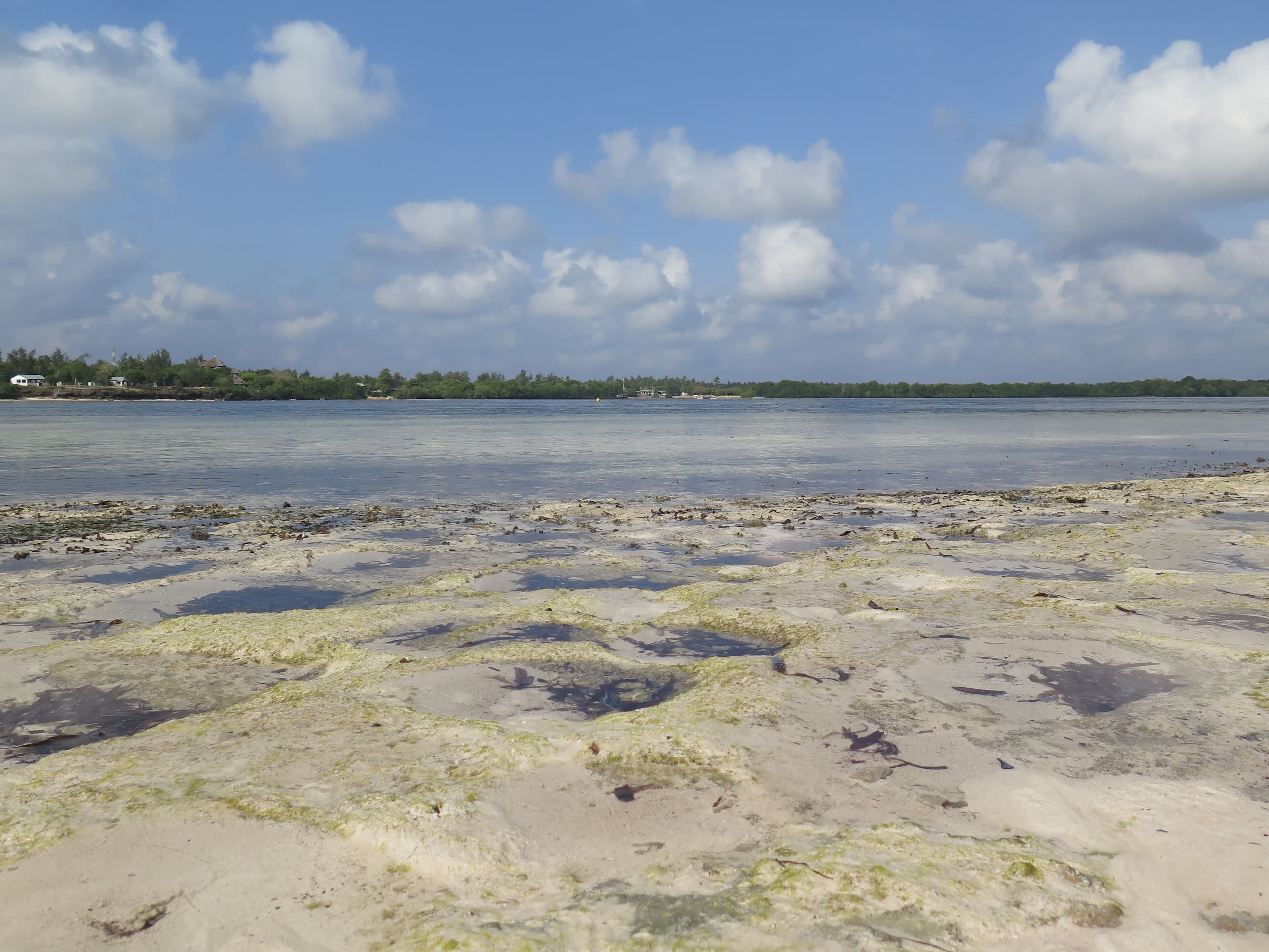 Temple Point Resort Ansicht 9