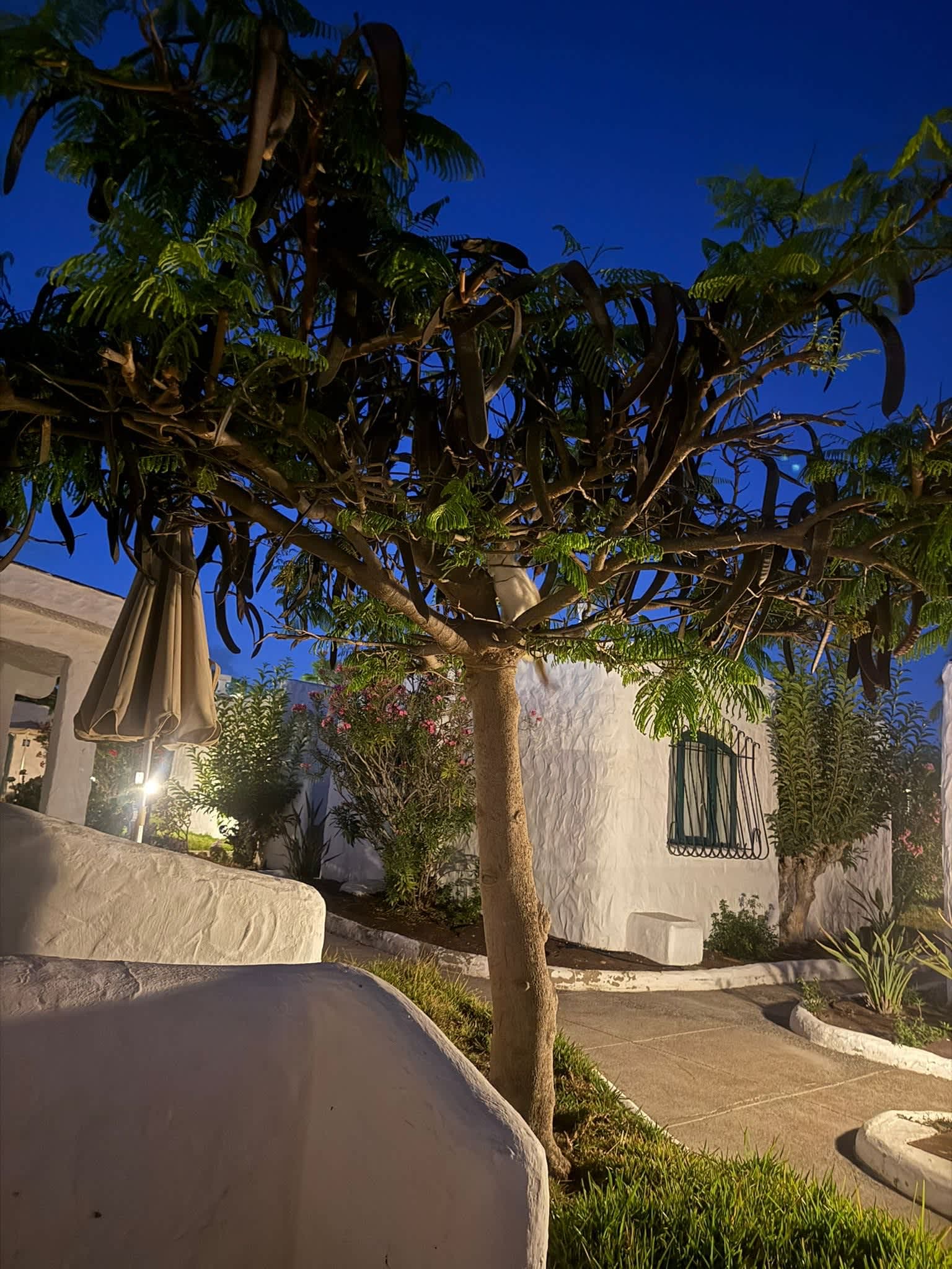 MUR Bungalows Parque Romantico Gran Canaria Ansicht 2