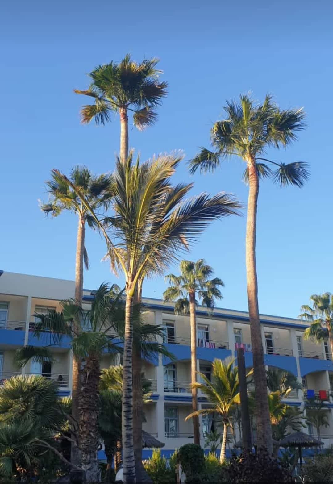 IFA Villas Altamarena Ansicht 2