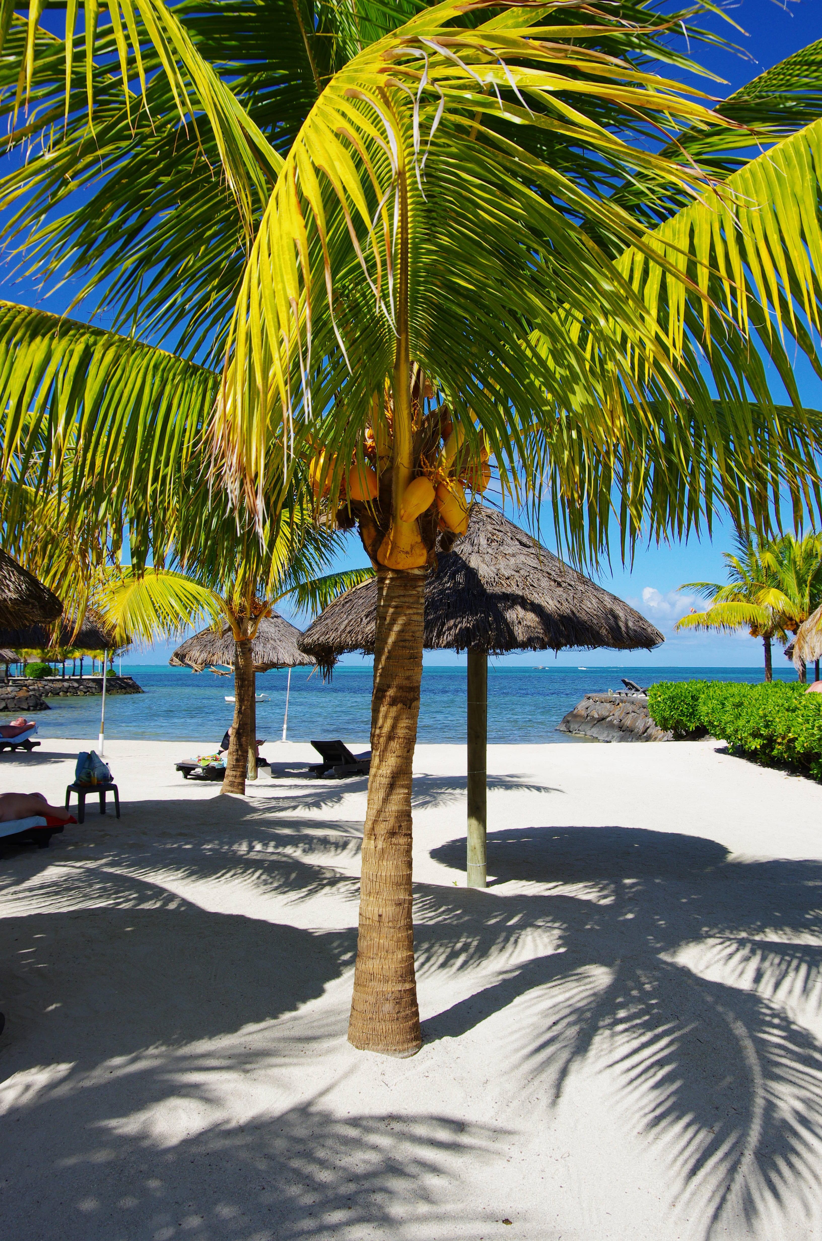 Laguna Beach Hotel & Spa Ansicht 9