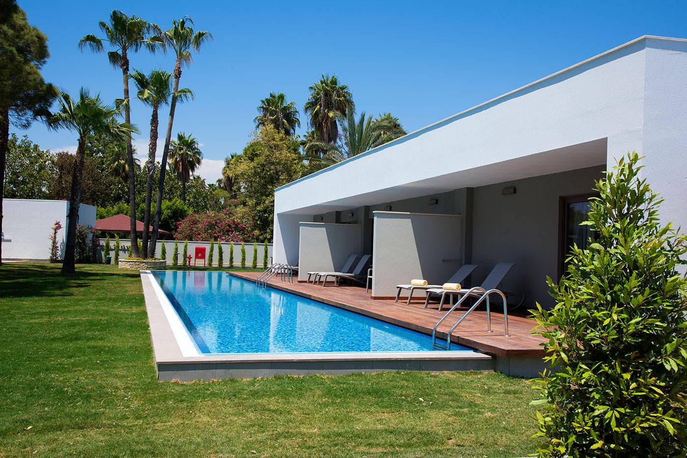 Acanthus Cennet Barut Collection Ansicht 5