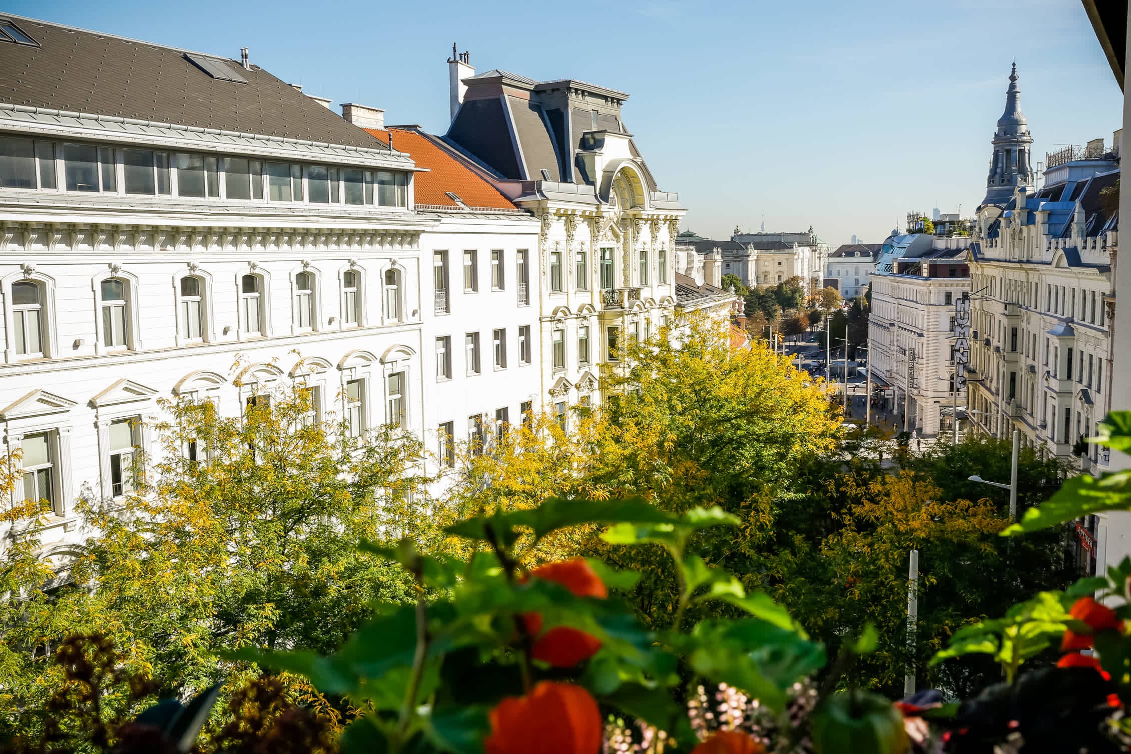 Boutiquehotel Das Tyrol Ansicht 2
