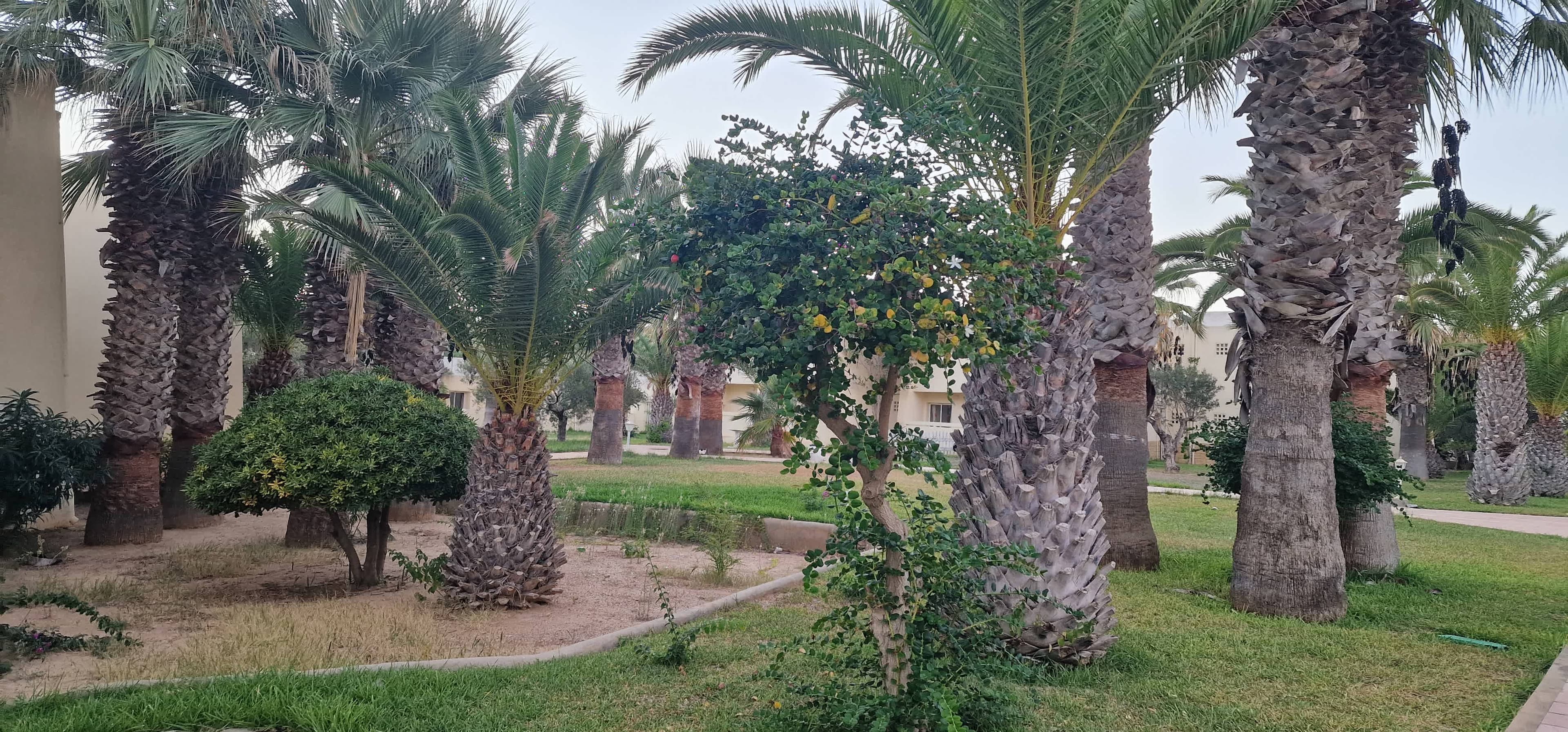 Dar Khayam Ansicht 2