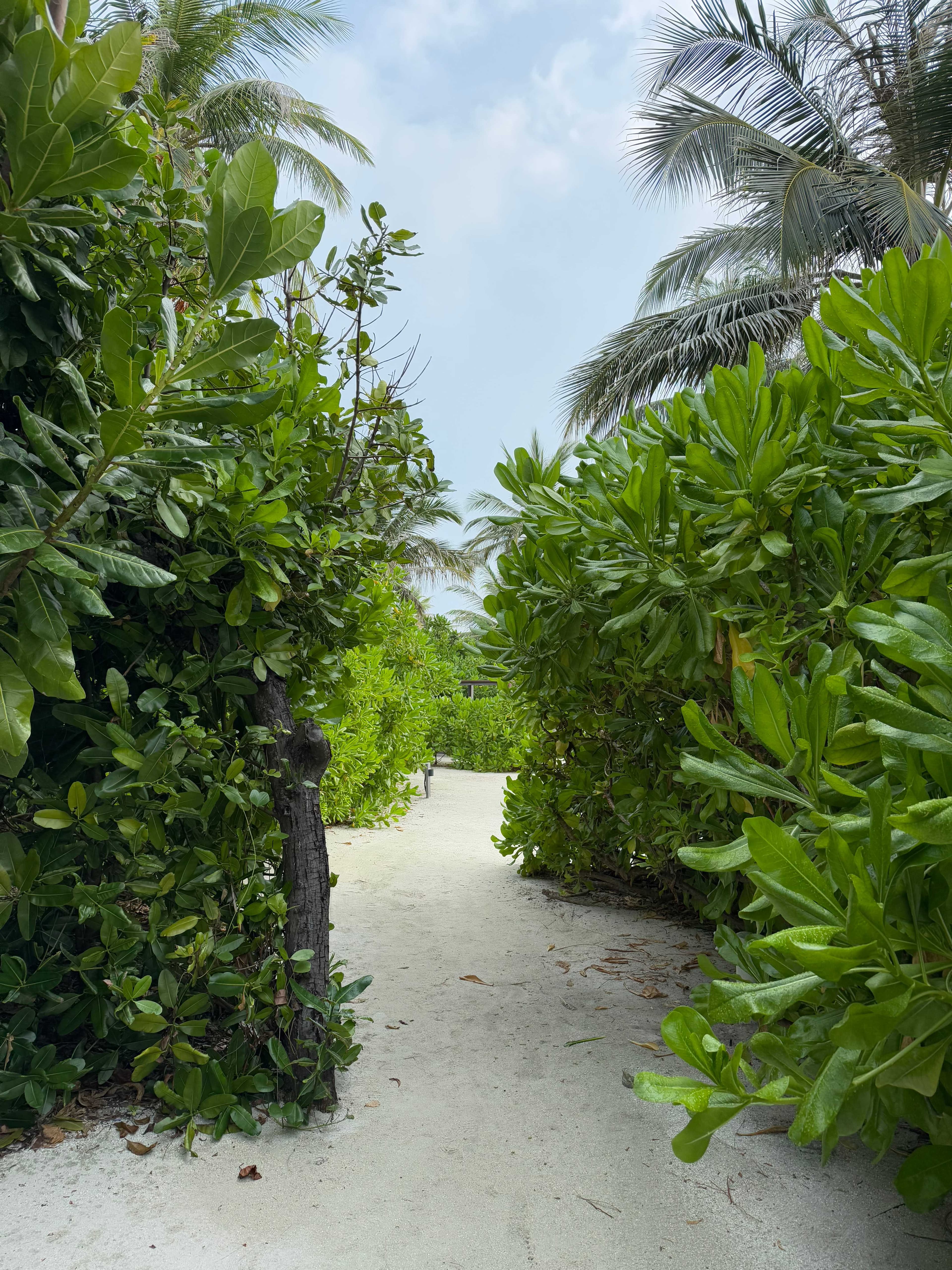 Radisson Blu Resort Maldives Ansicht 10