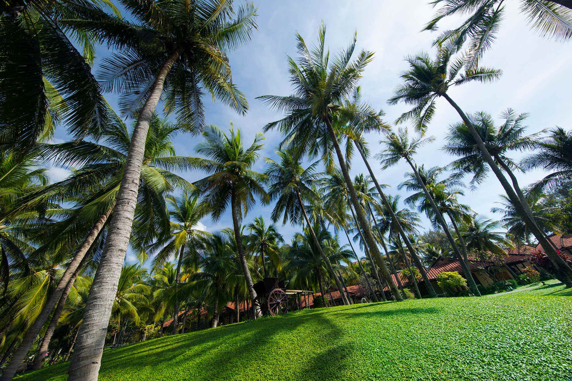 Seahorse Resort & Spa Ansicht 7