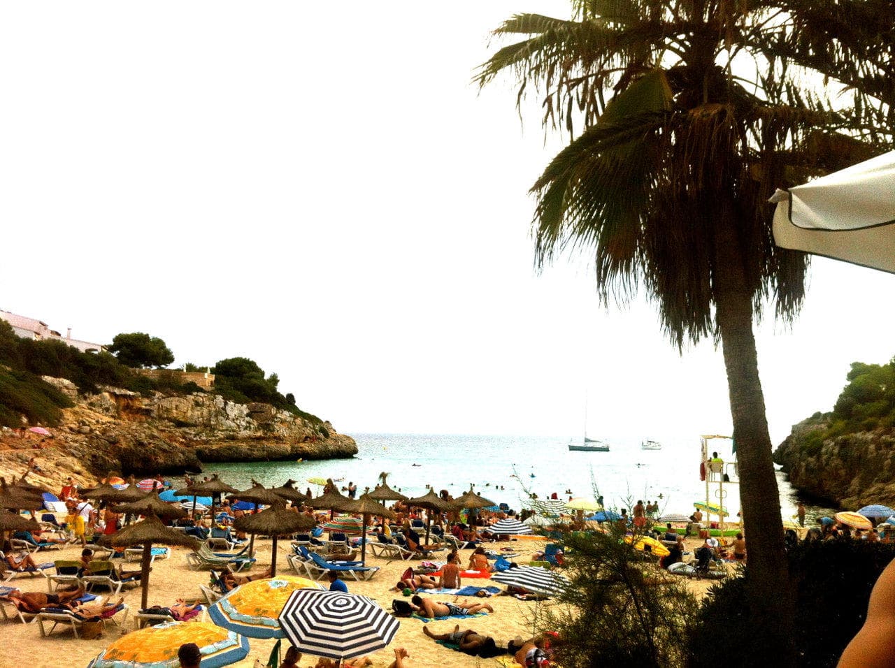 Apartamentos Vista Alegre Mallorca Ansicht 9