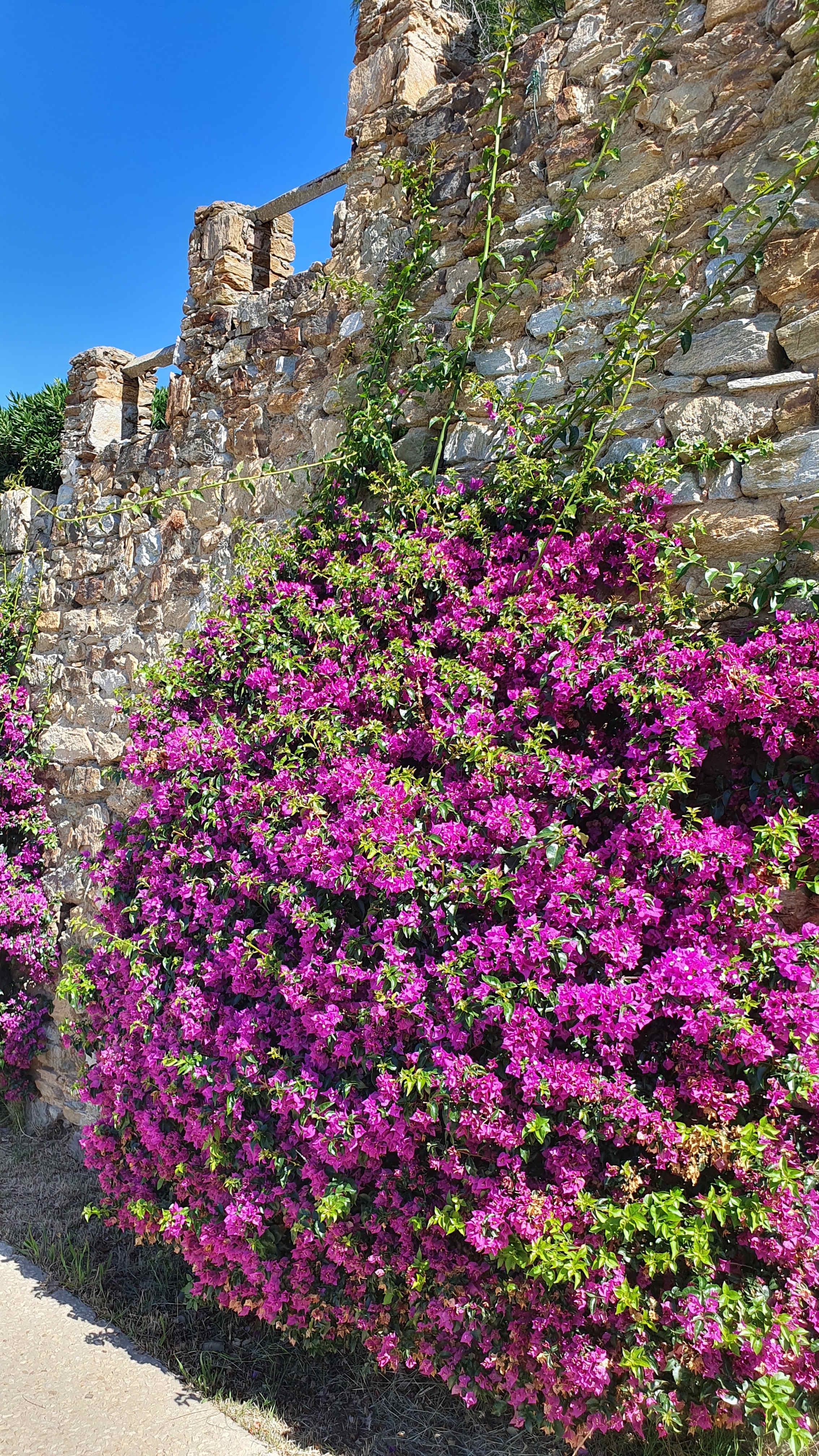 Hotel Le Bailli de Suffren Ansicht 5