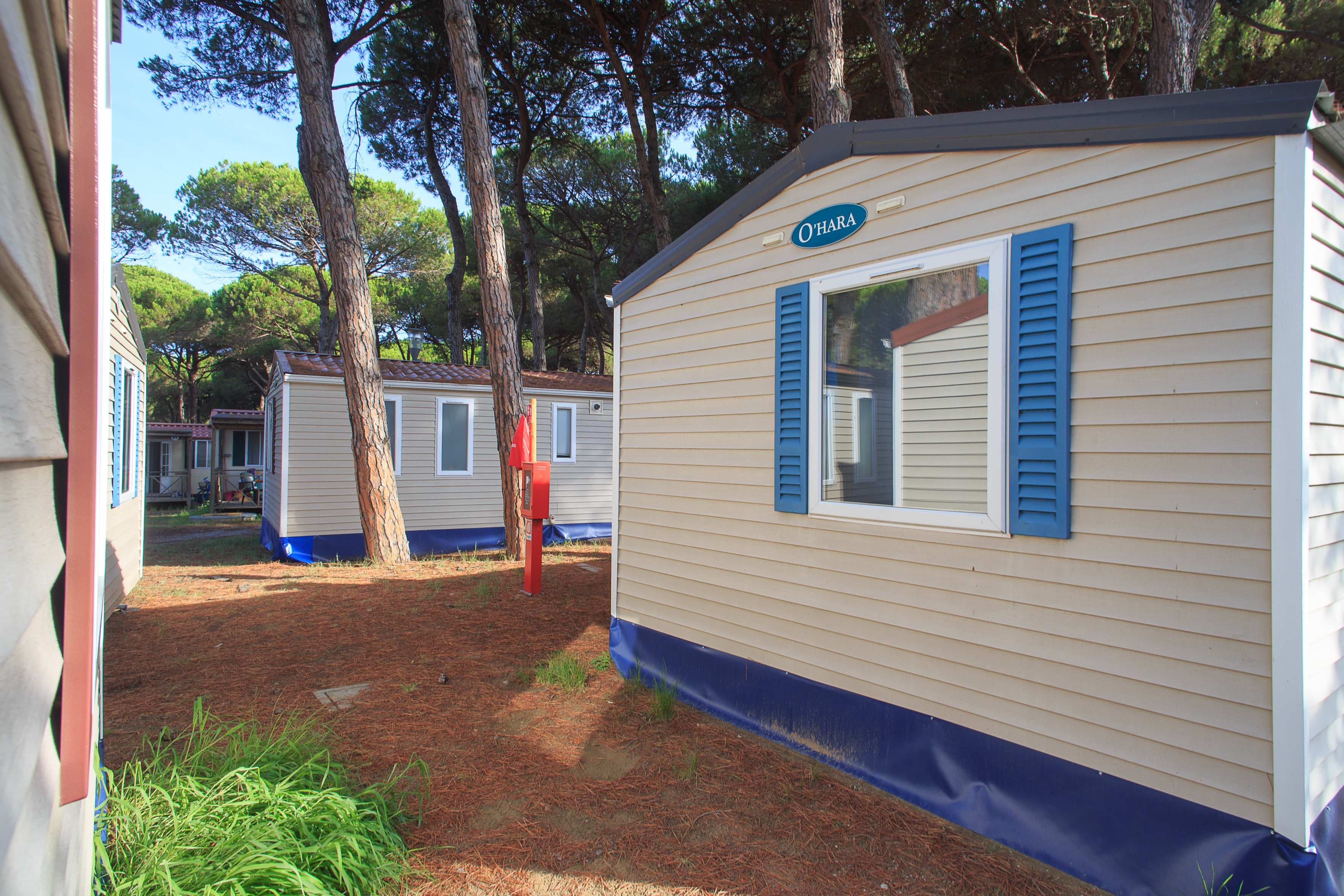 Pineta Sul Mare Camping Village