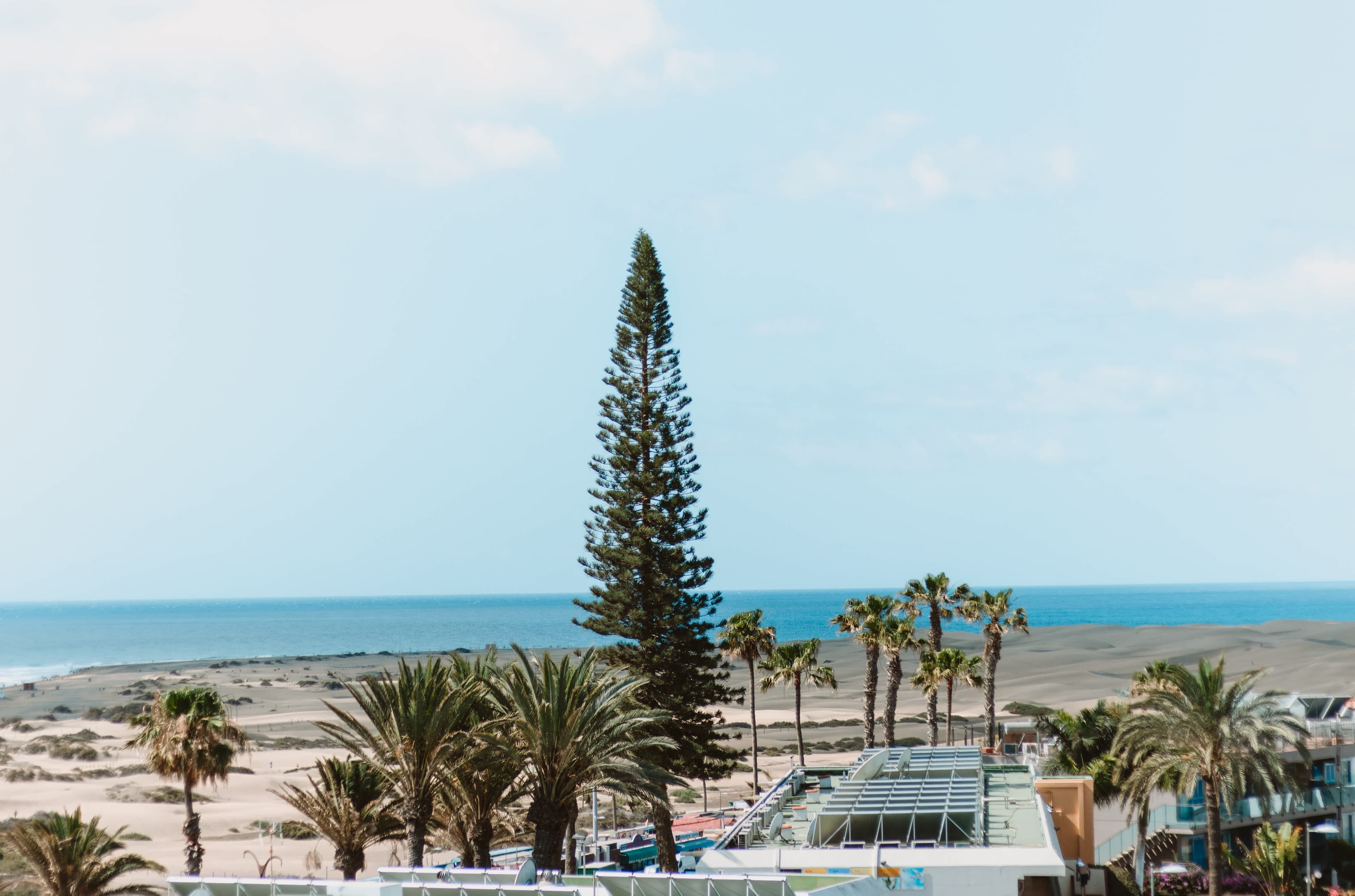 Hotel El Palmar