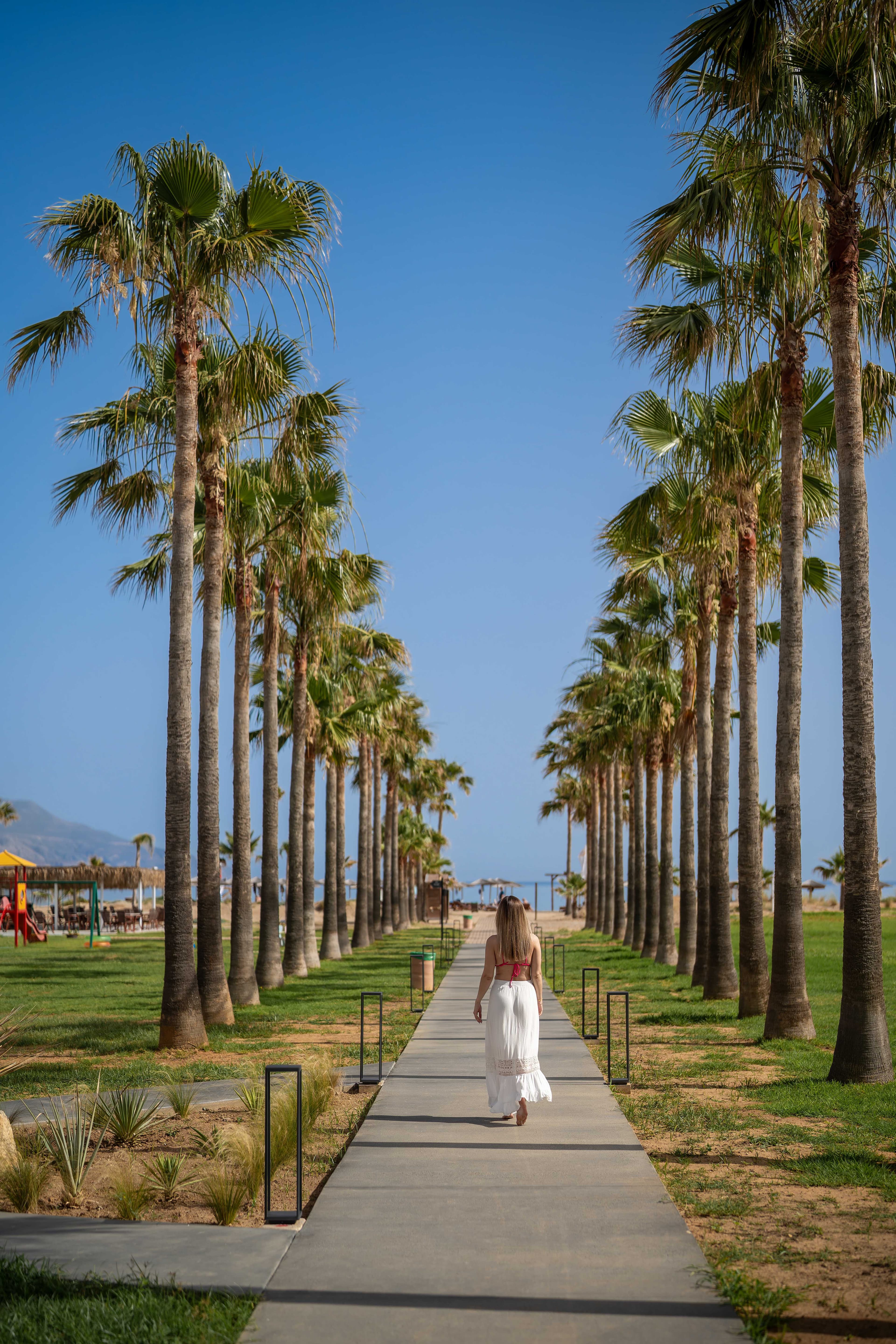 Delfina Tropic Beach
