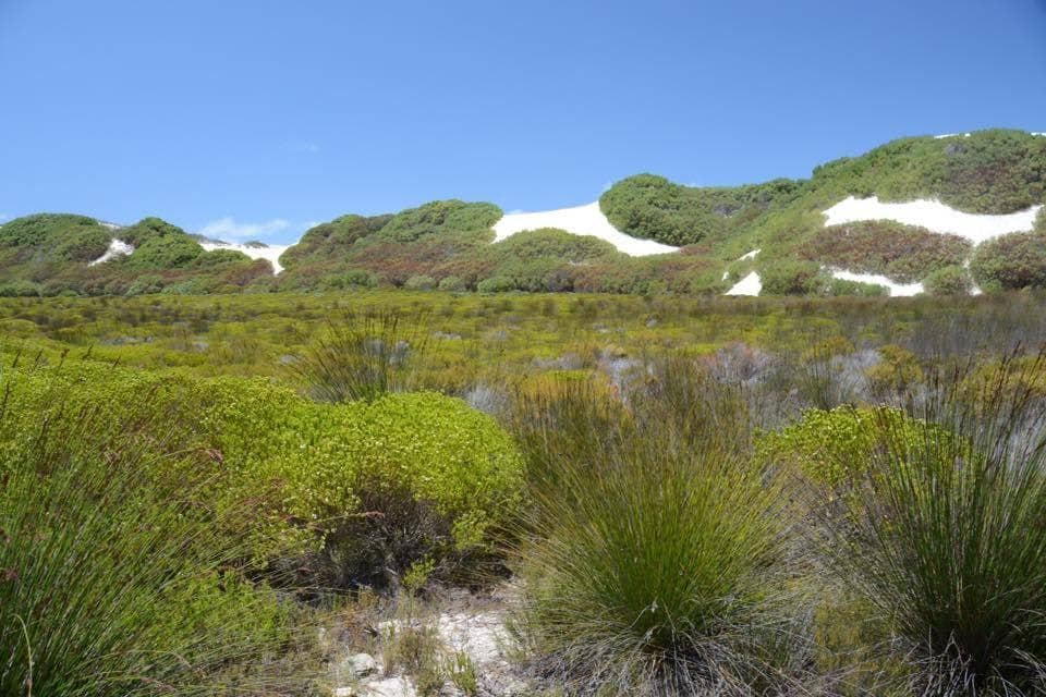 De Hoop Nature Reserve Ansicht 7