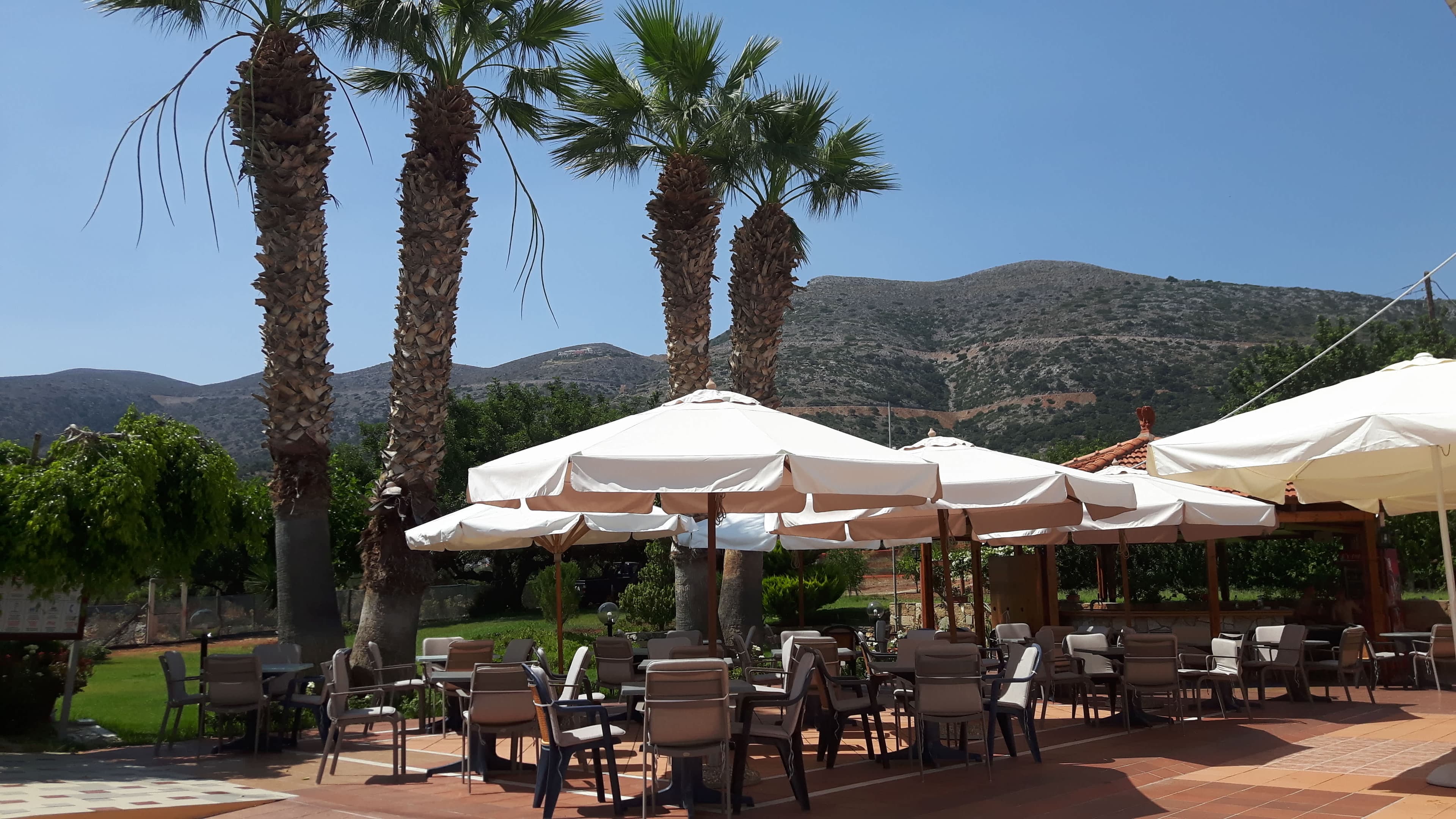 Hotel Paloma Garden Ansicht 9