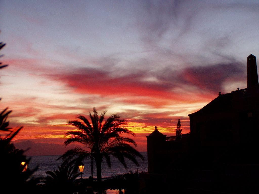 Aparthotel Jardin del Conde Ansicht 10