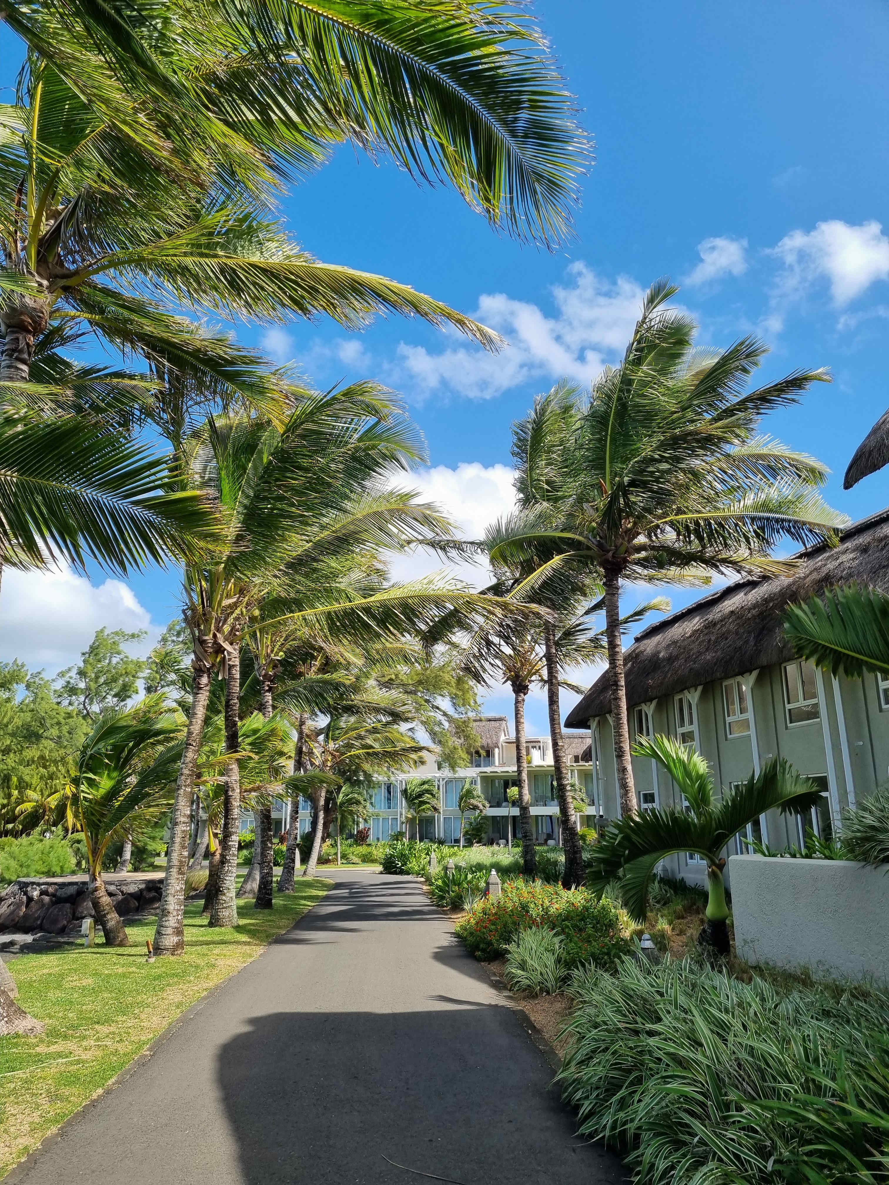 LUX* Grand Gaube Resort & Villas Ansicht 3