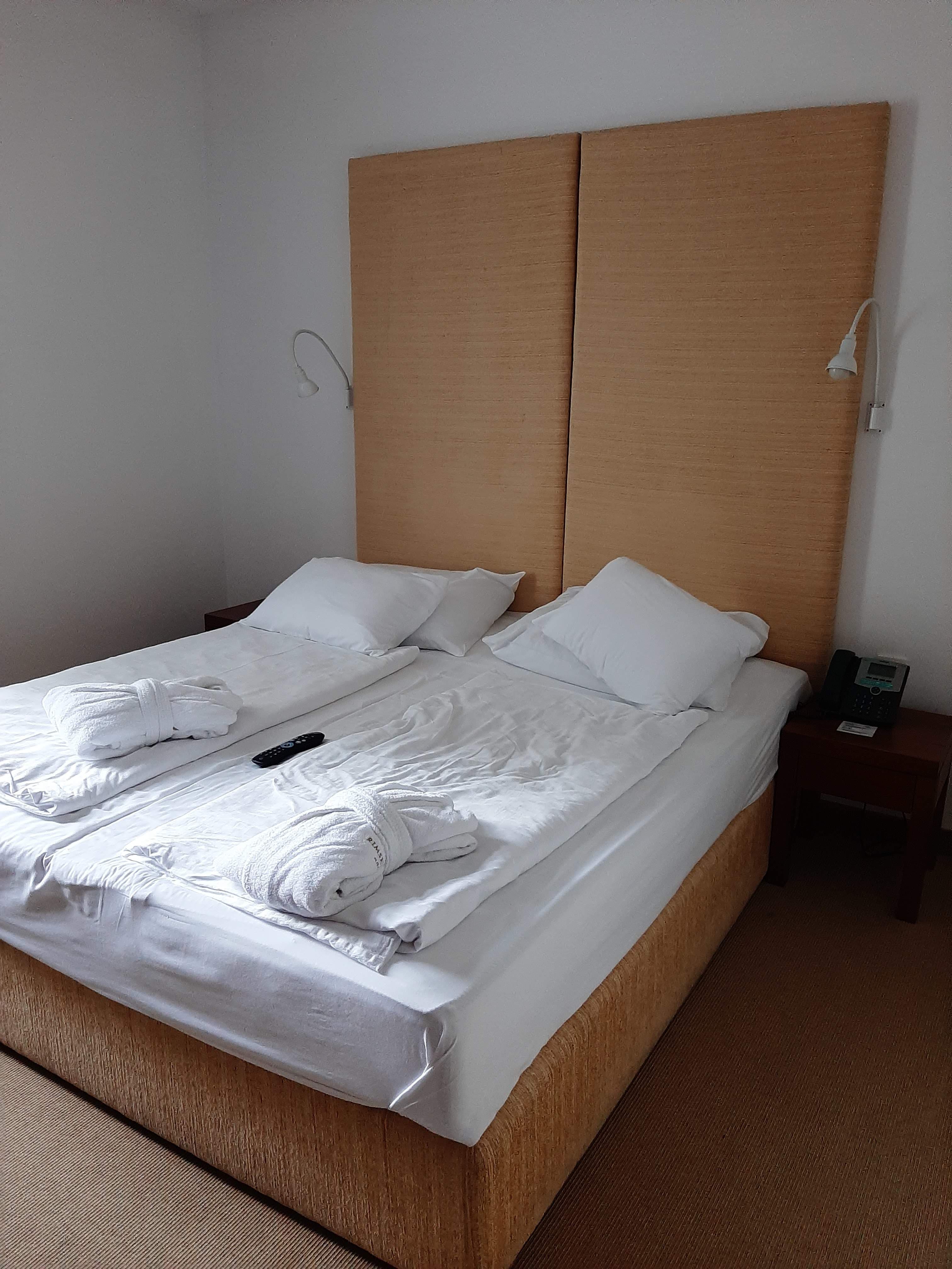 Rimske terme - Hotel Rimski Dvor Ansicht 3