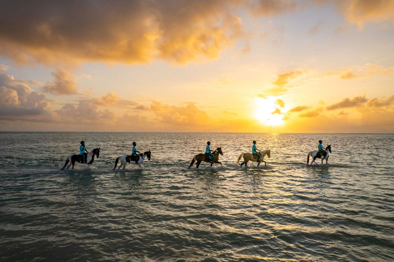 Neptune Pwani Beach Resort & Spa Ansicht 7