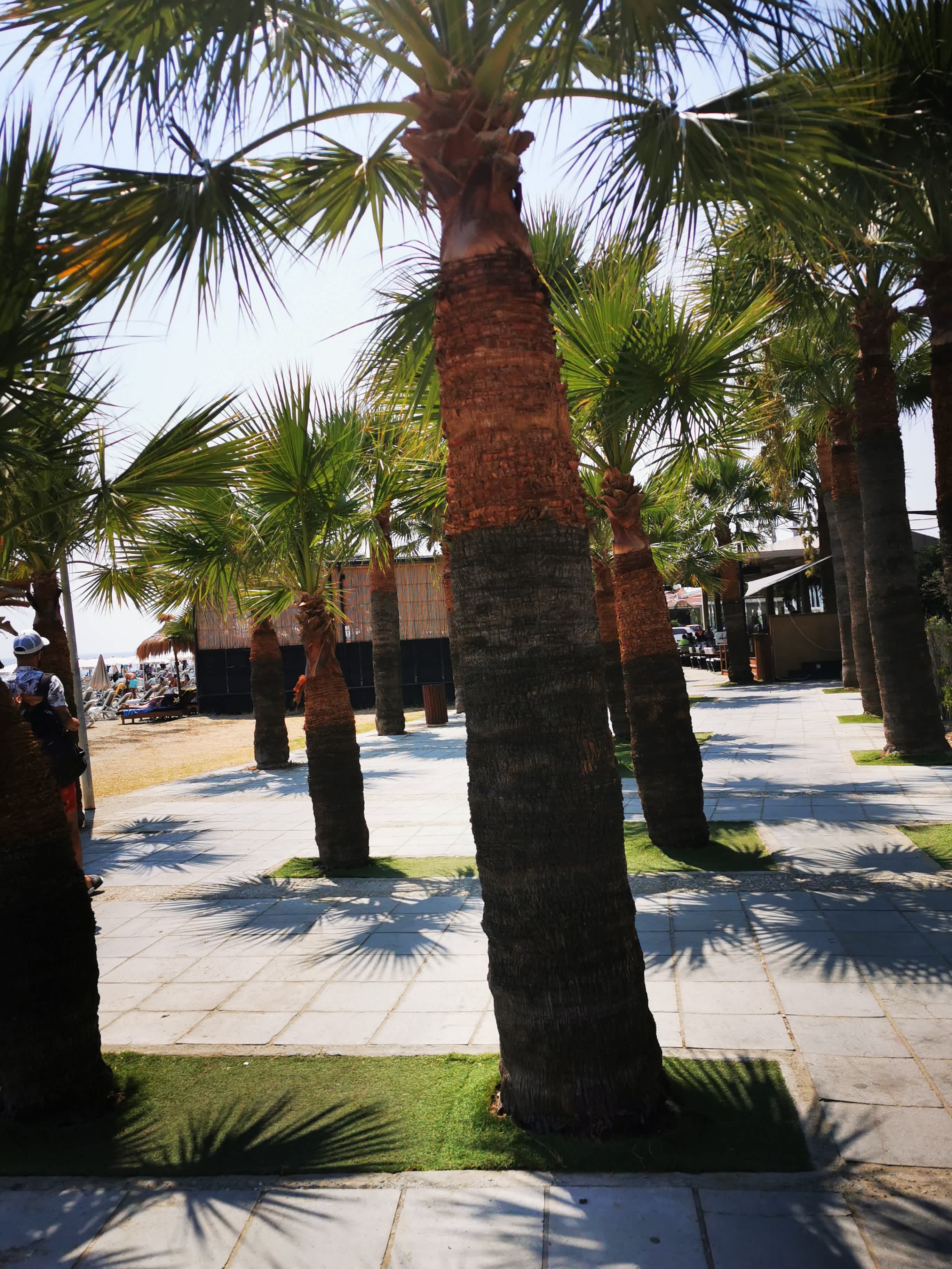 Hotel Cactus Ansicht 8