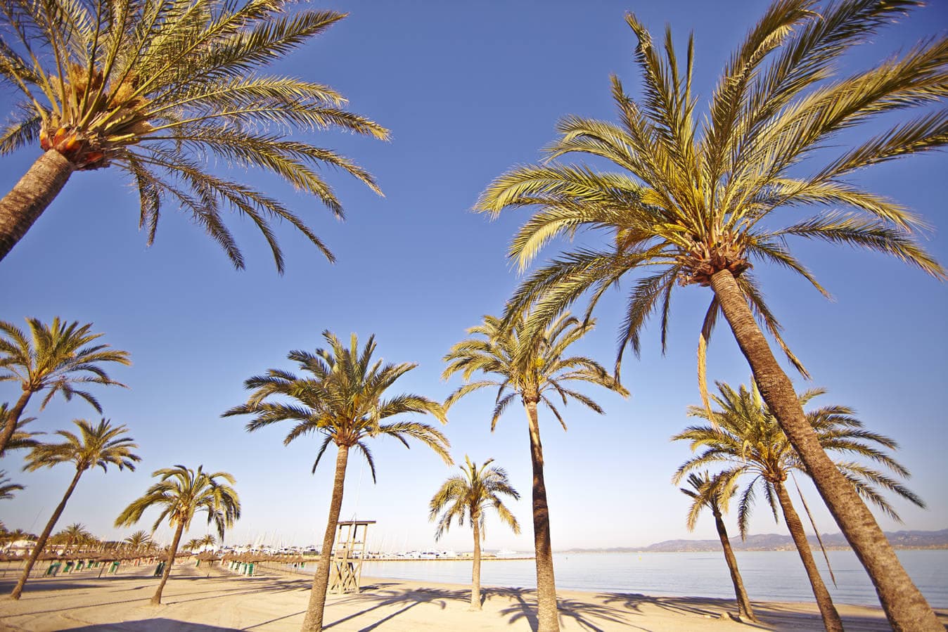 MLL Palma Bay Club Resort Ansicht 10