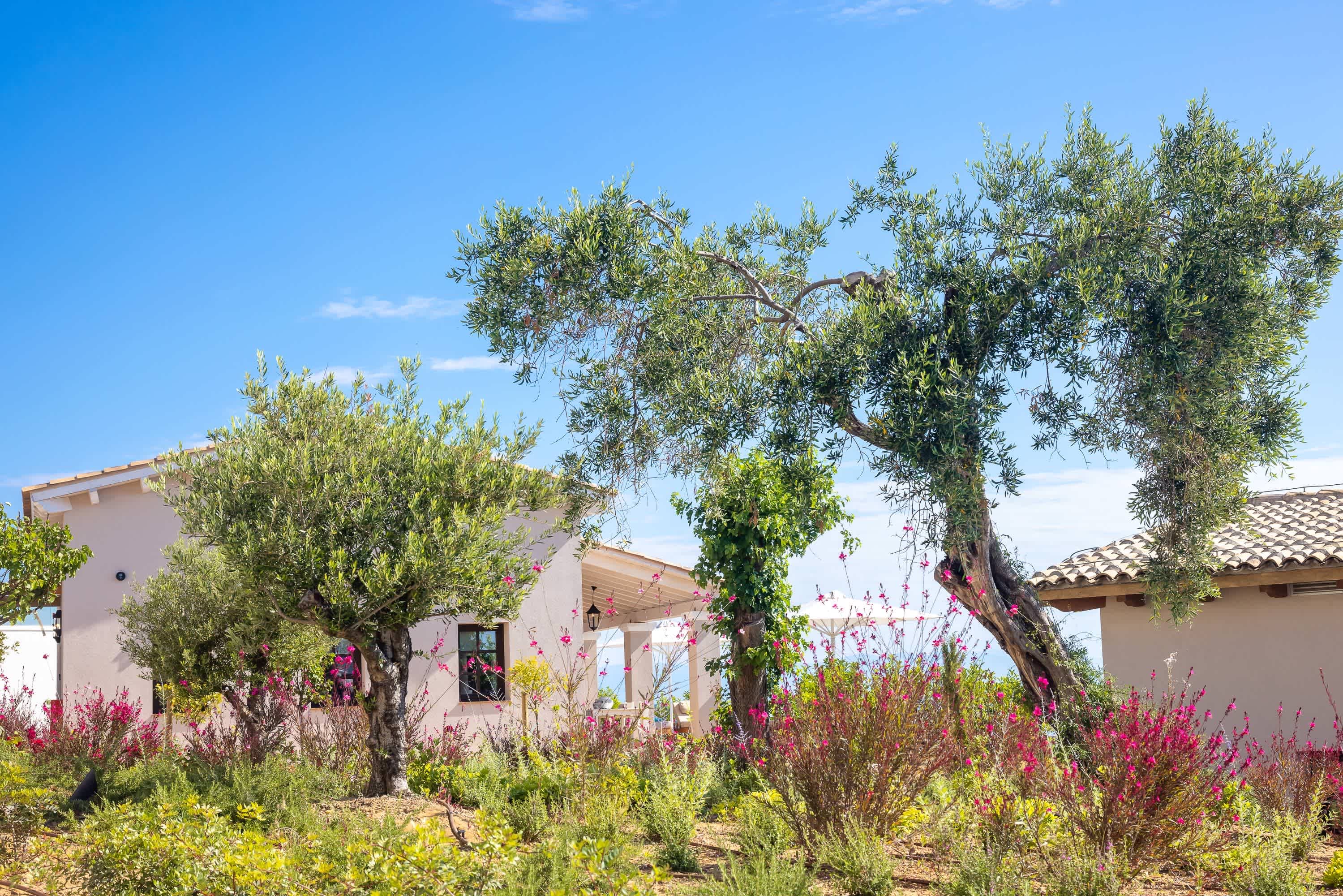 Angsana Corfu Resort & Spa Ansicht 2