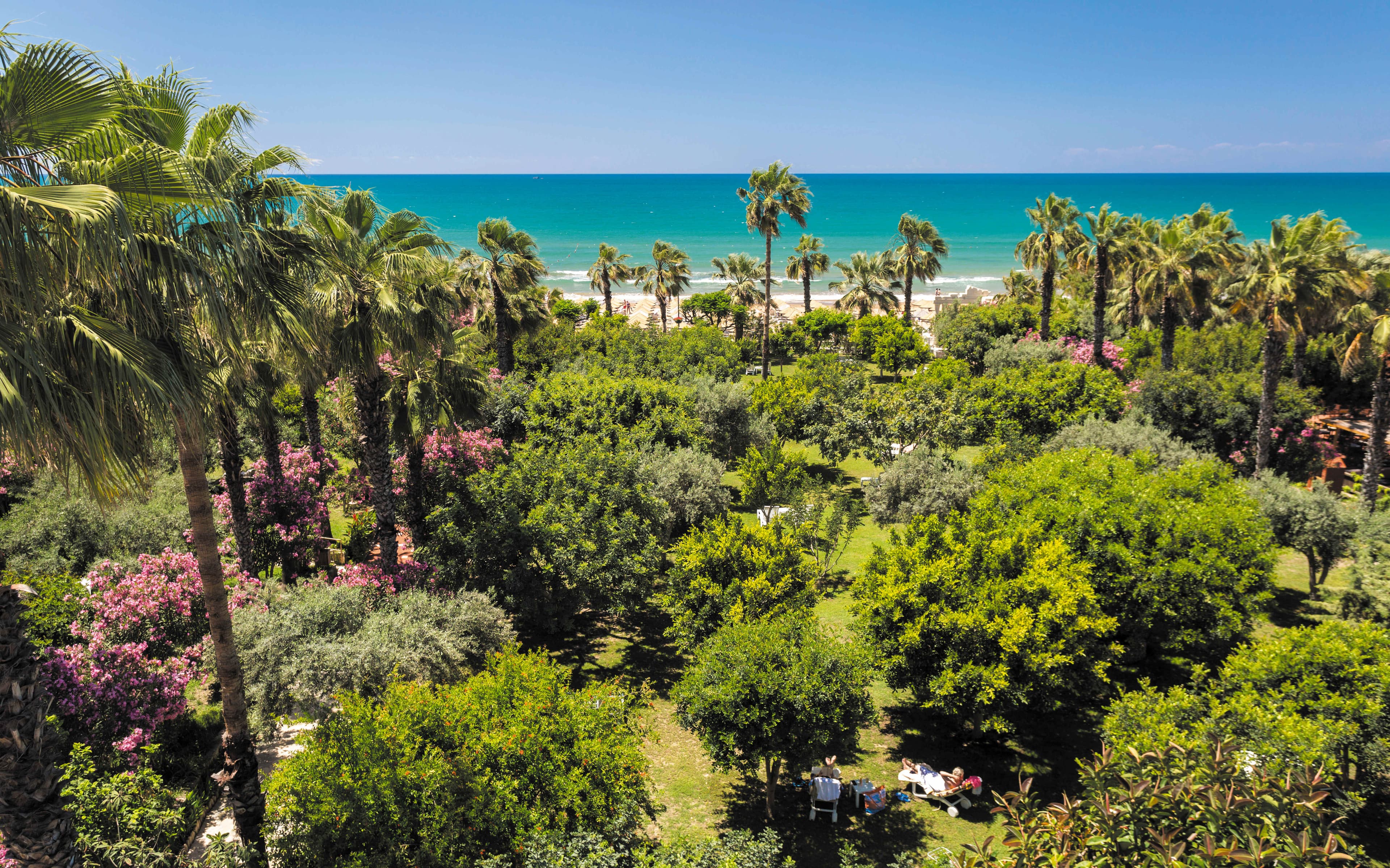 Hotel Defne Ana Ansicht 3