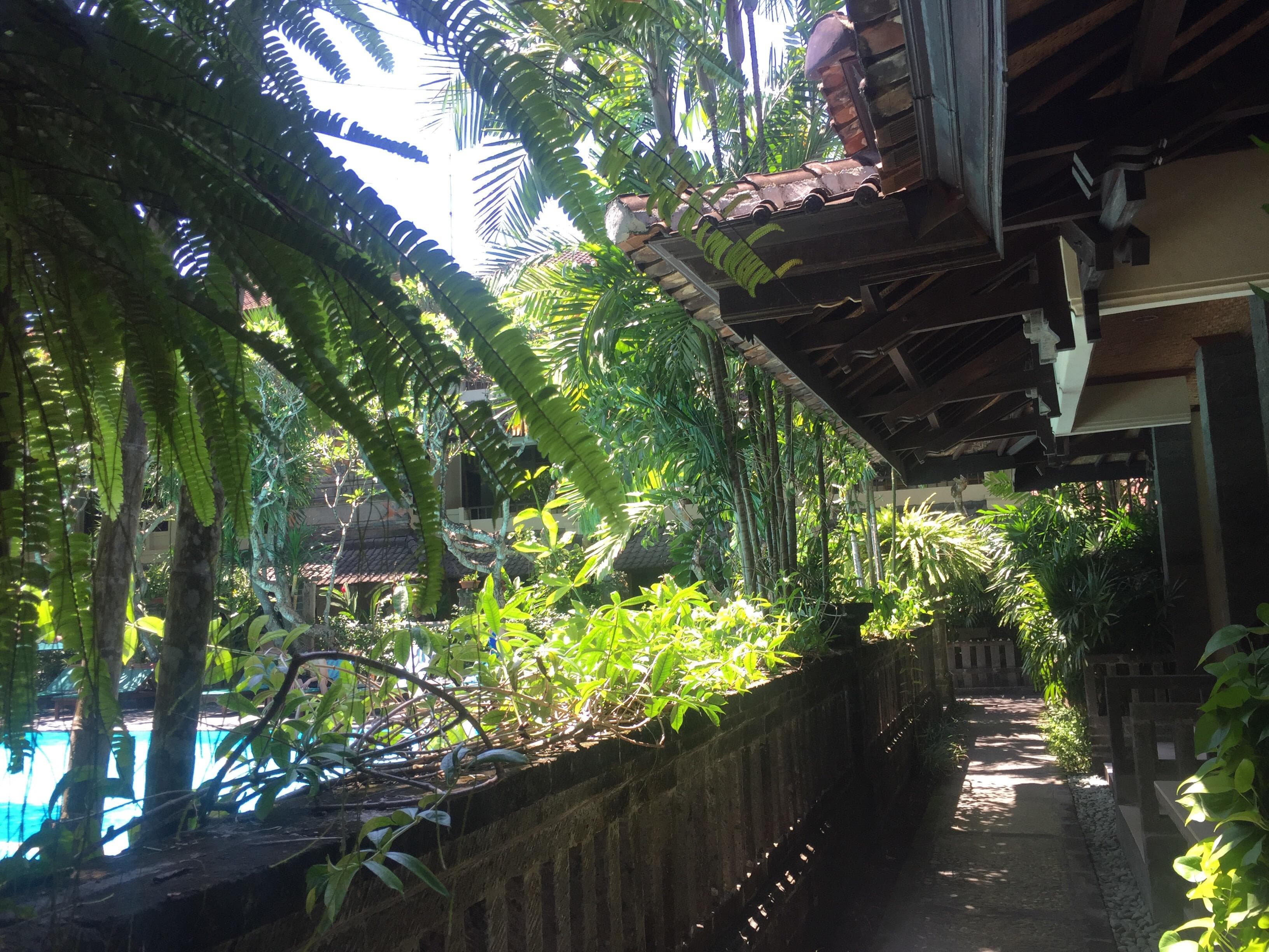 Hotel Puri Bambu Ansicht 6