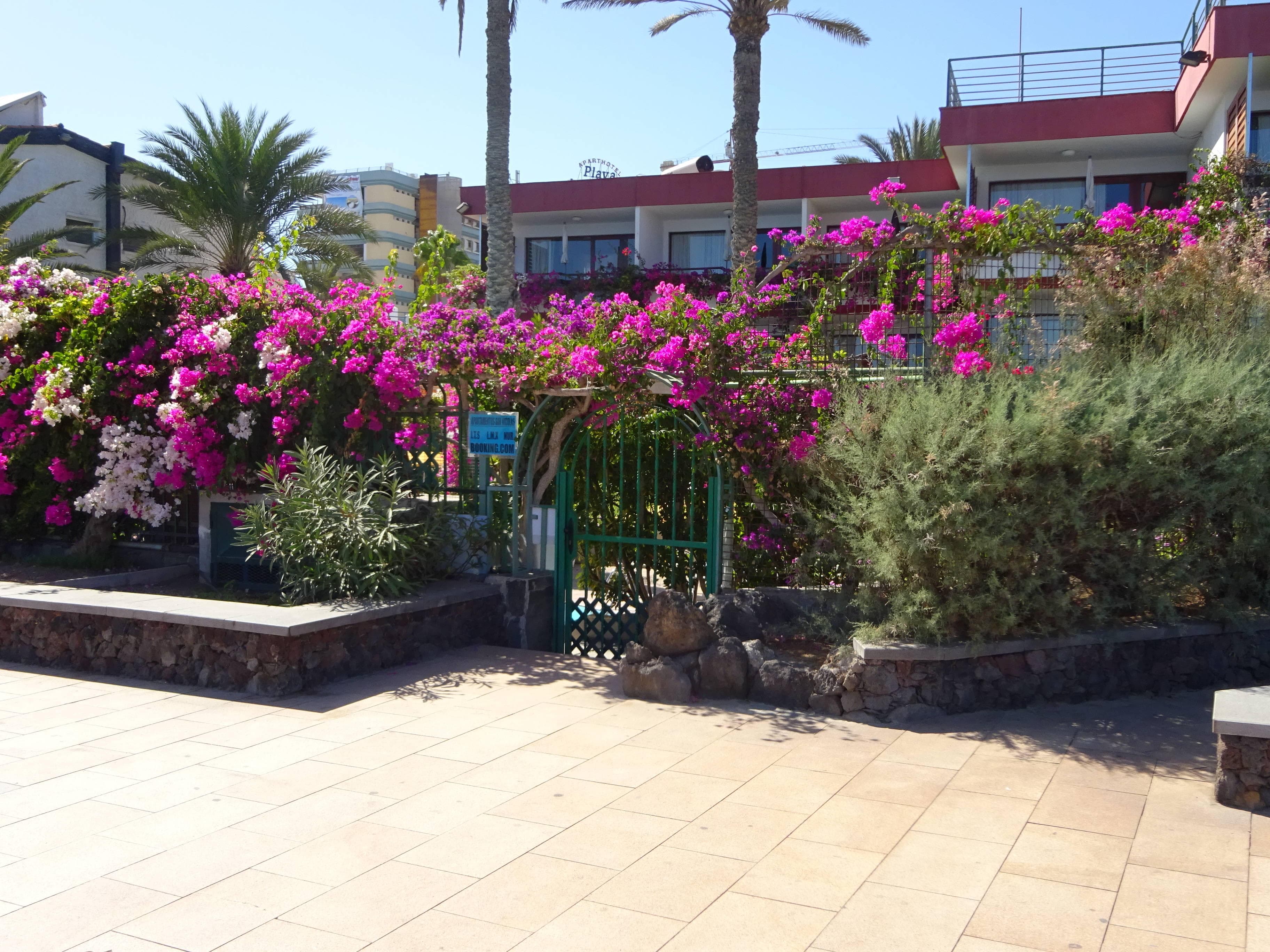 Hotel San Nicolas