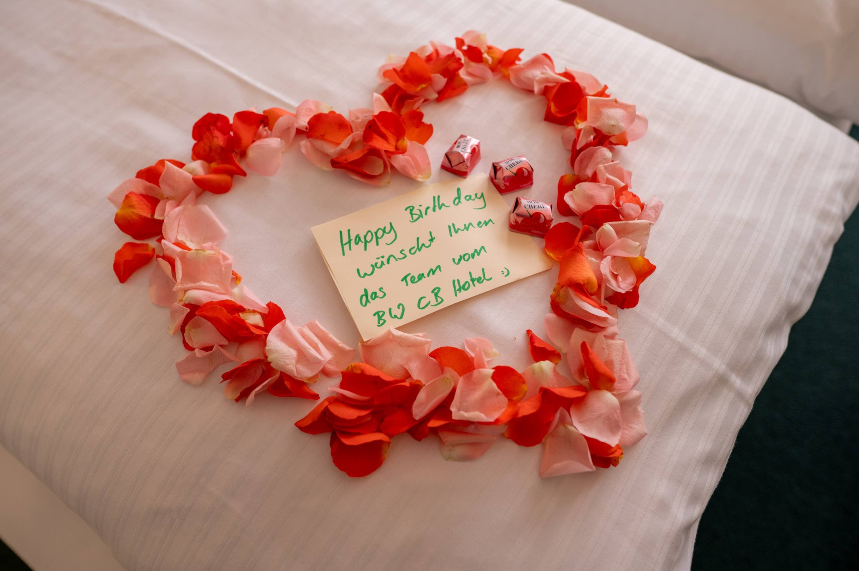 Best Western Comfort Business Hotel Ansicht 6
