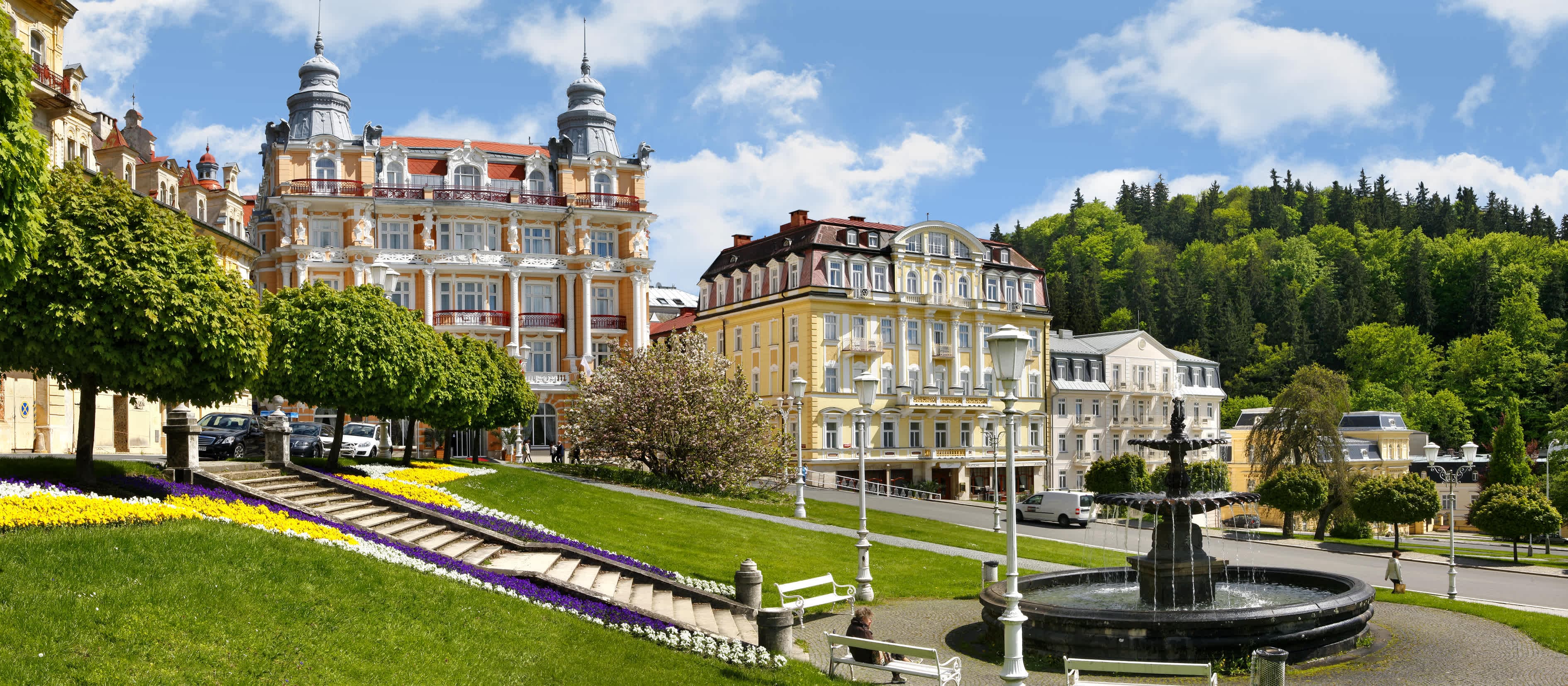 Hvězda - Imperial Ensana Health Spa Hotel