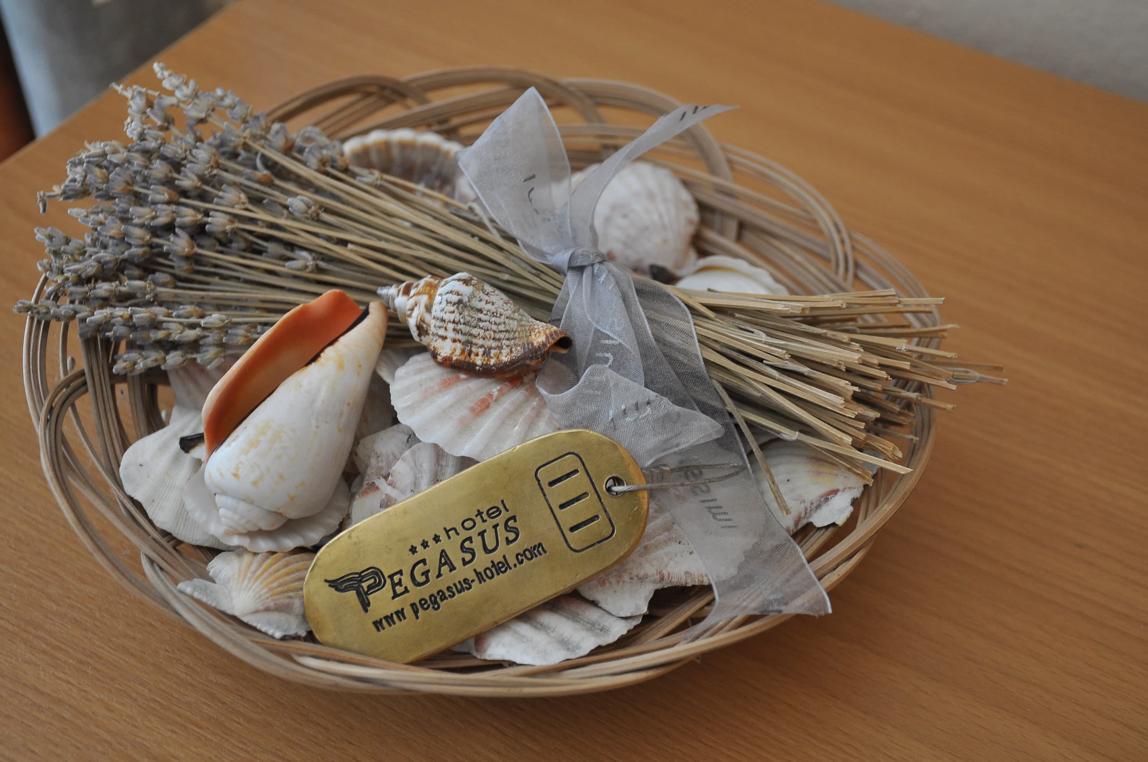 Hotel Pegasus Ansicht 4