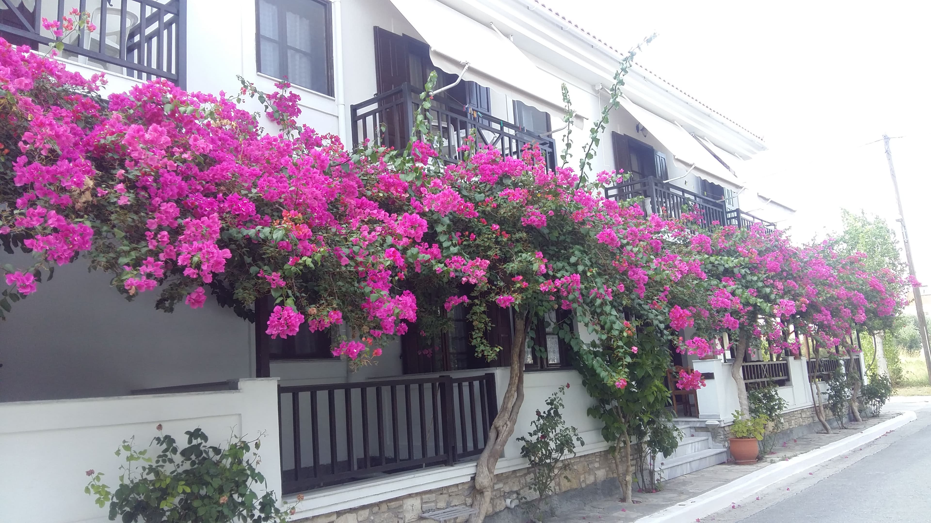 Hotel Angeliki Ansicht 2