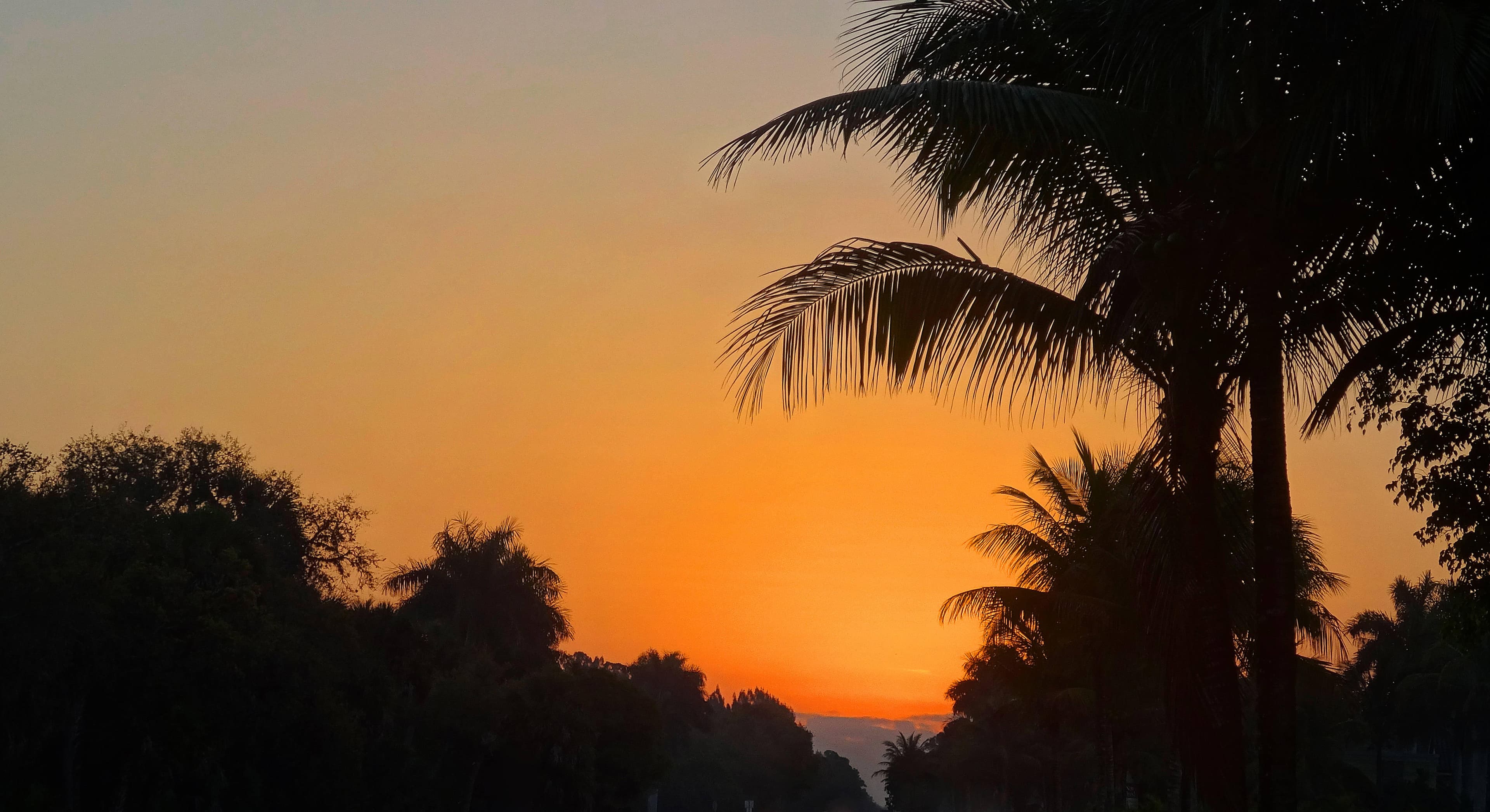 Hotel Hyatt Regency Coconut Point Resort & Spa Ansicht 7