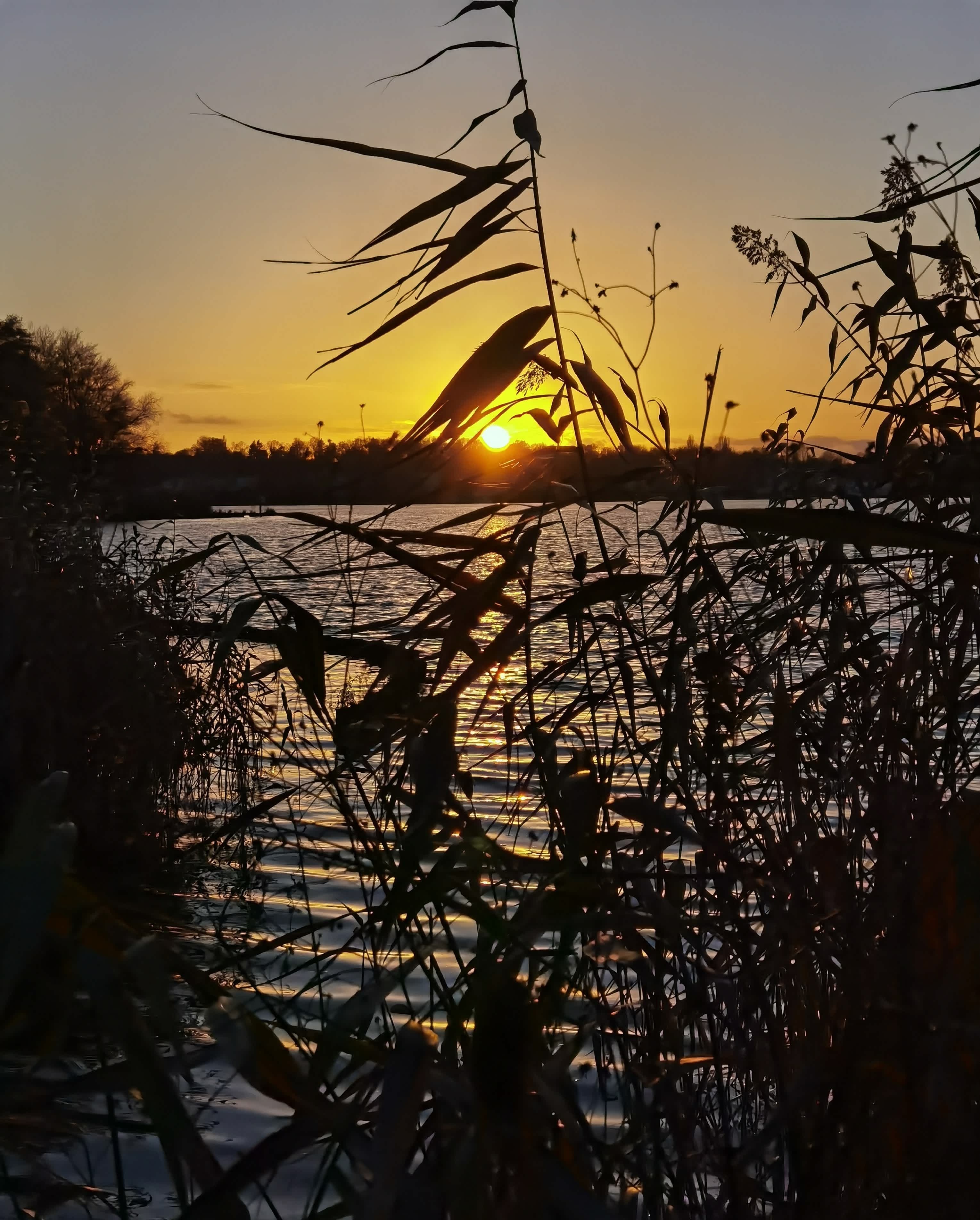 Seehotel Grunewald Ansicht 7