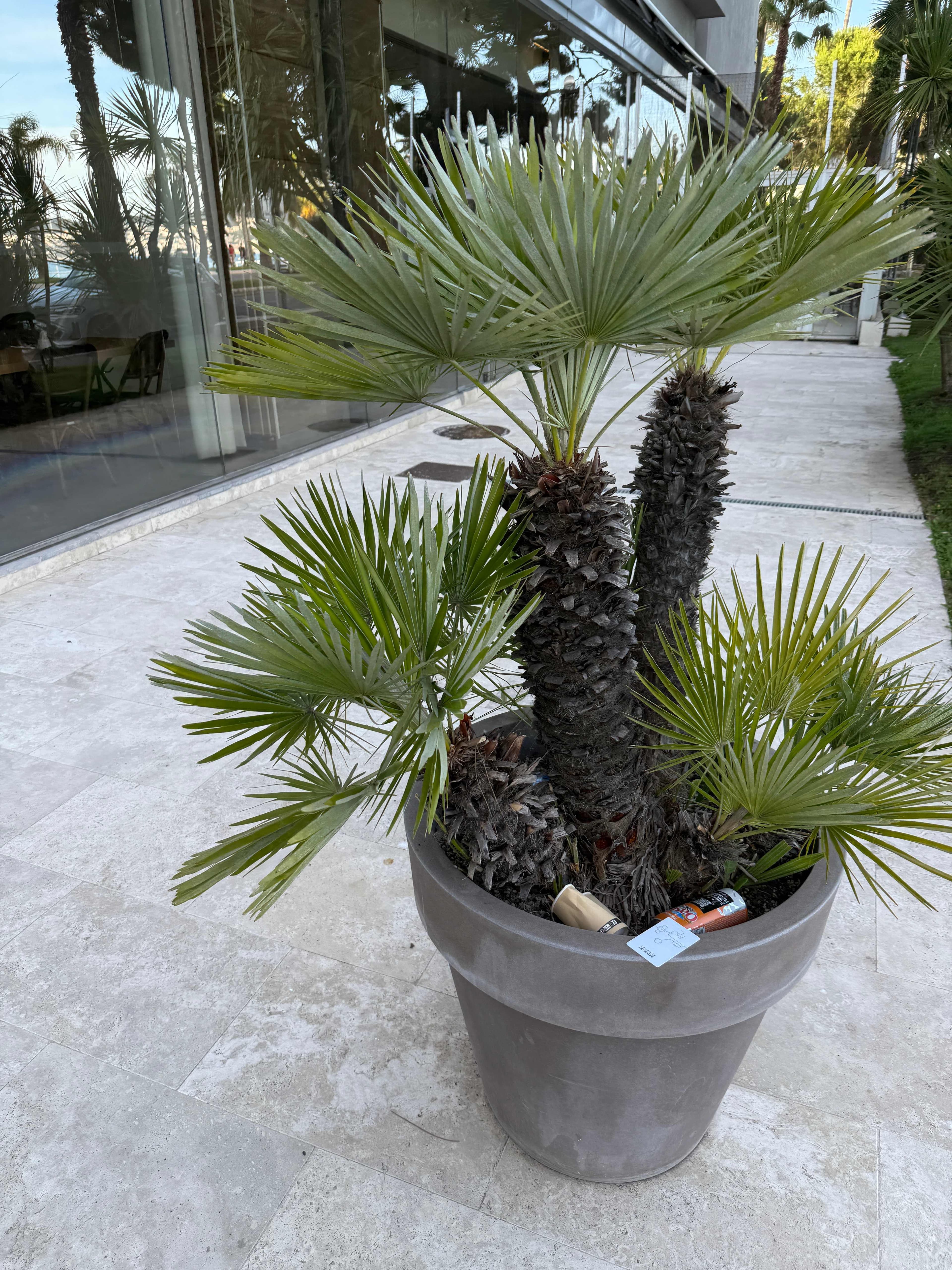 Radisson Blu Hotel Nice Ansicht 2