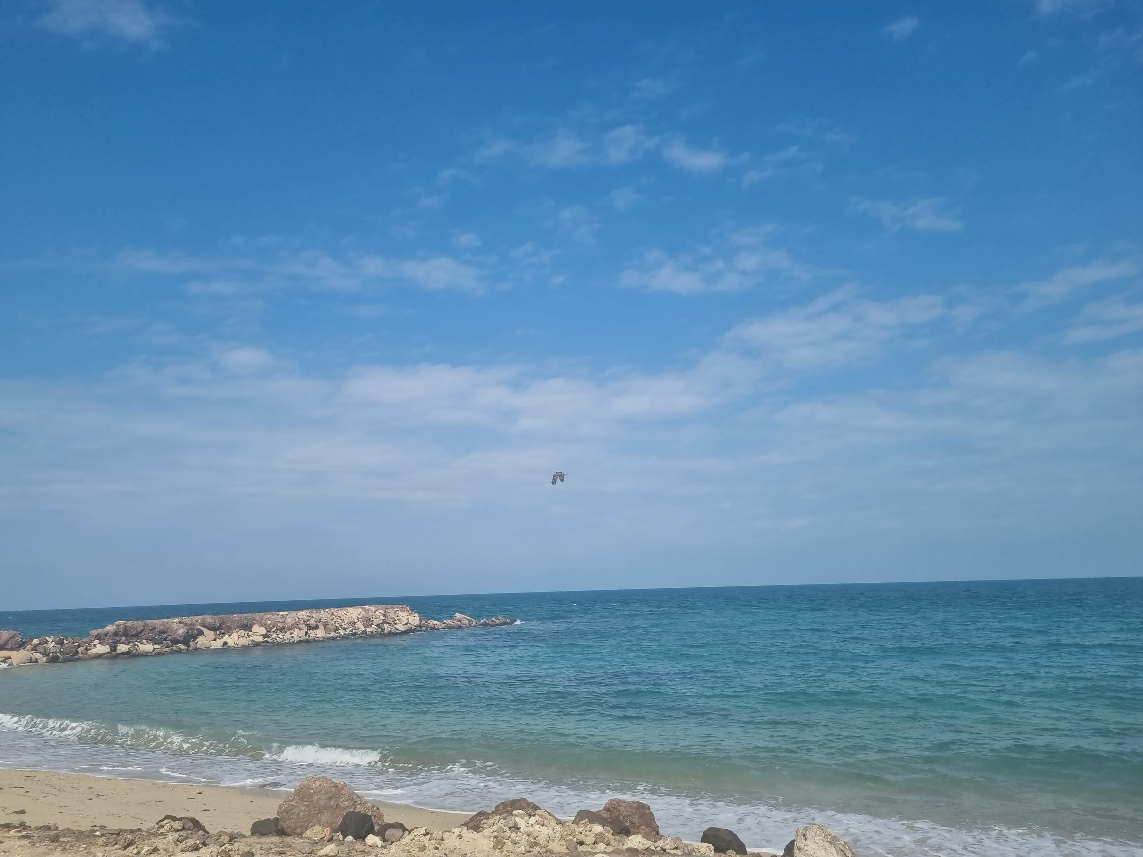 Desert Islands Resort & Spa by Anantara Ansicht 10