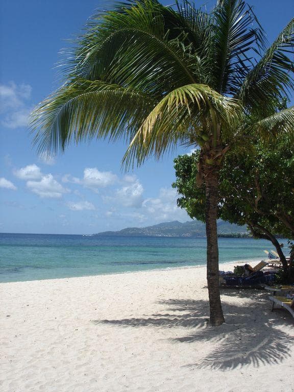 Hotel Rex Grenadian Ansicht 9
