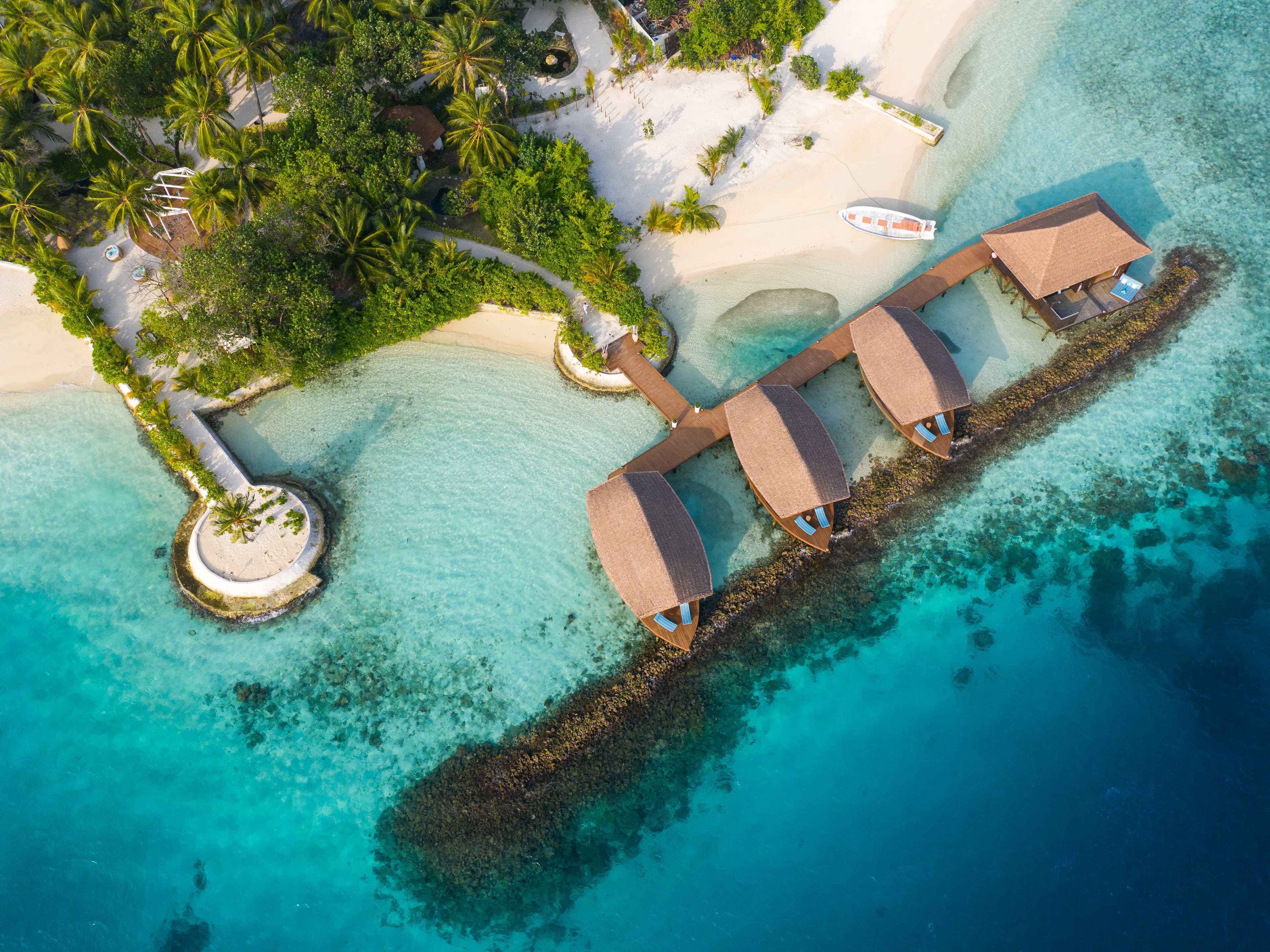 OZEN RESERVE BOLIFUSHI Ansicht 7