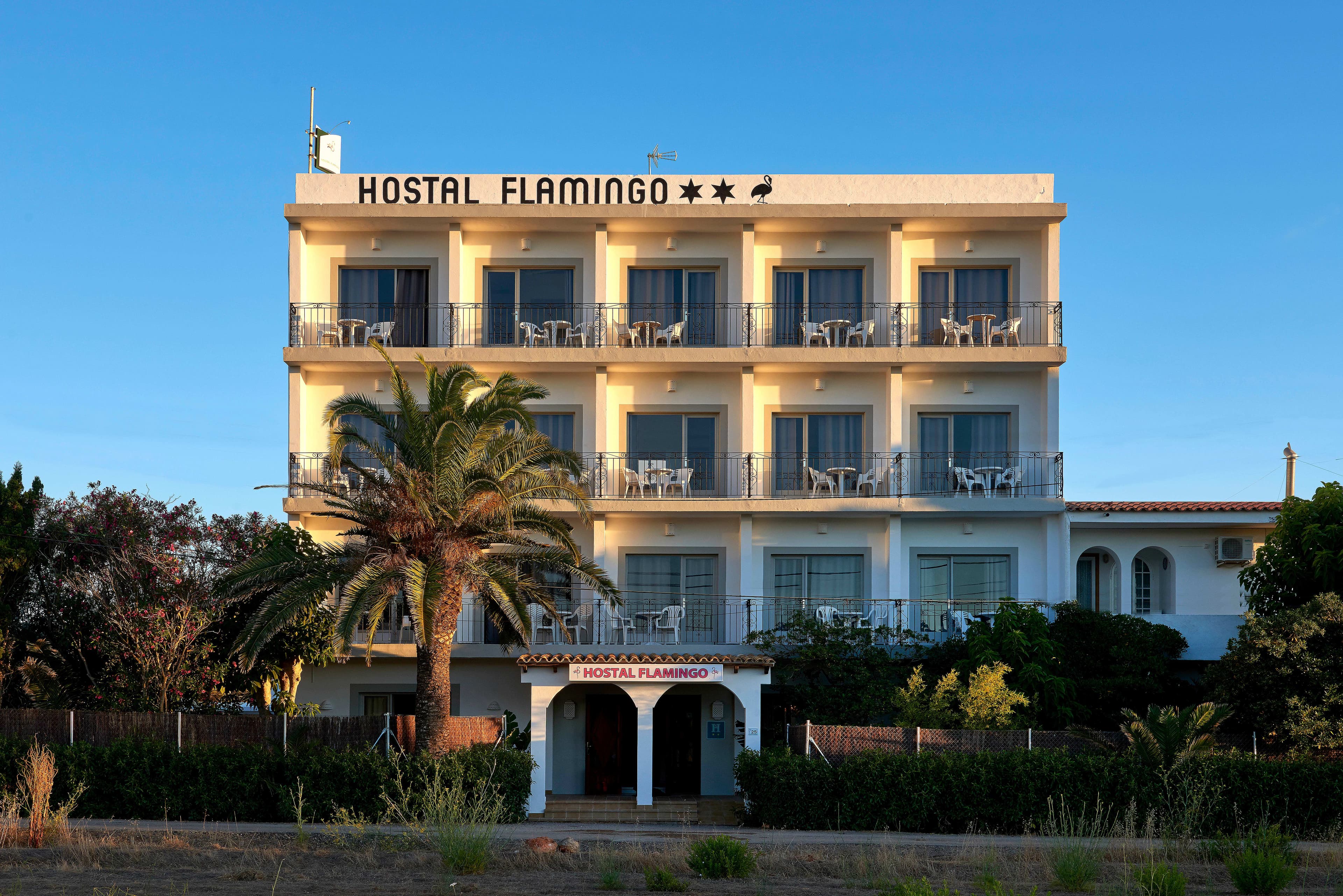 Hostal Flamingo