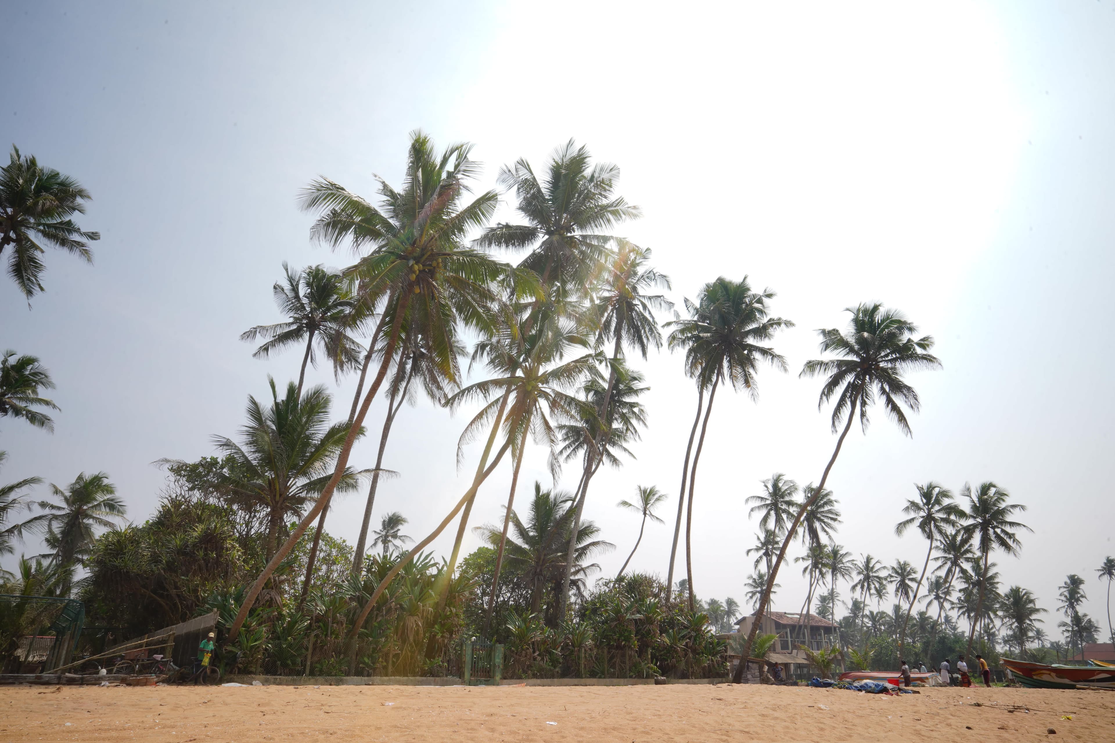 Roman Life Ayurveda Beach Resort Ansicht 8