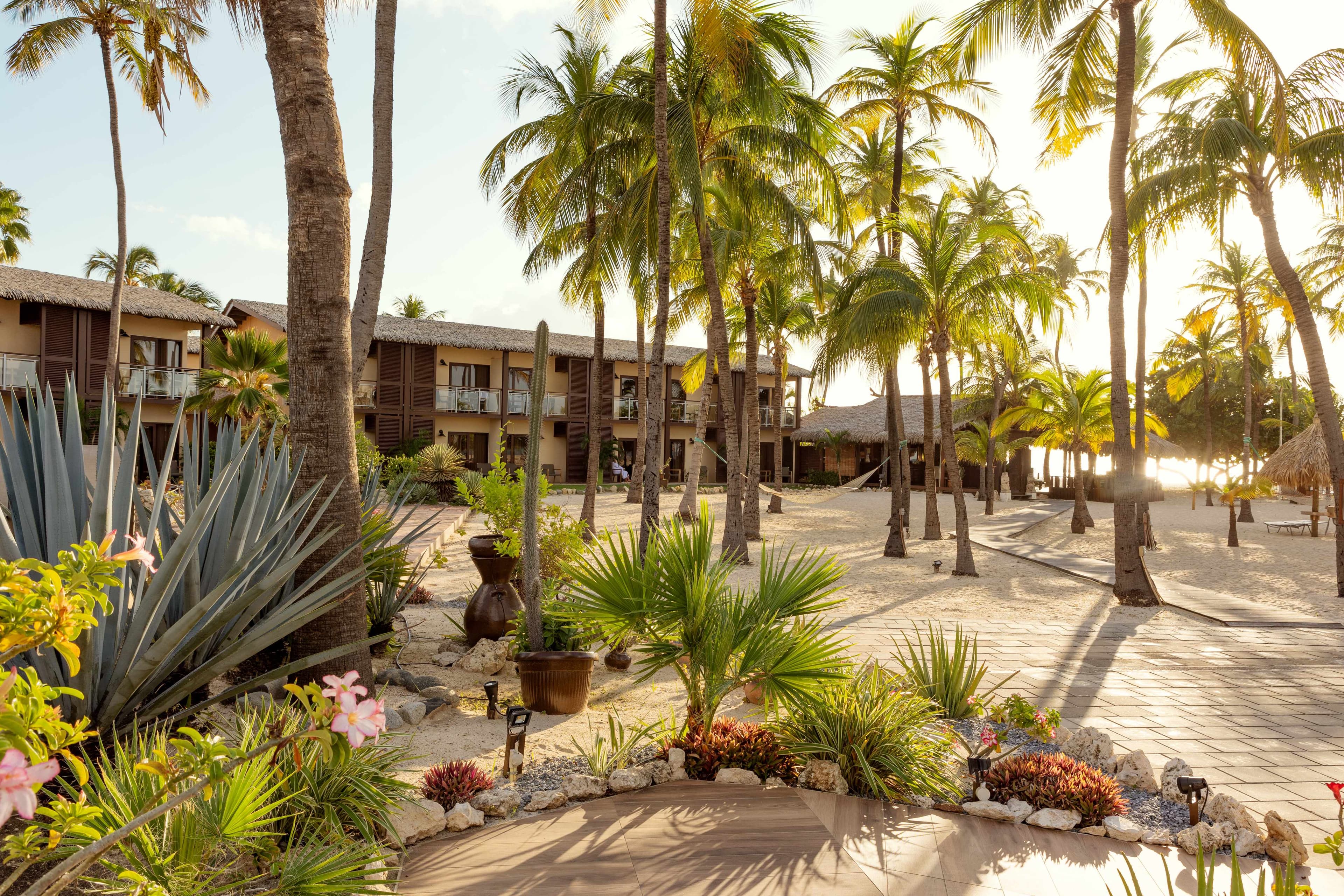 Manchebo Beach Resort & Spa Ansicht 2