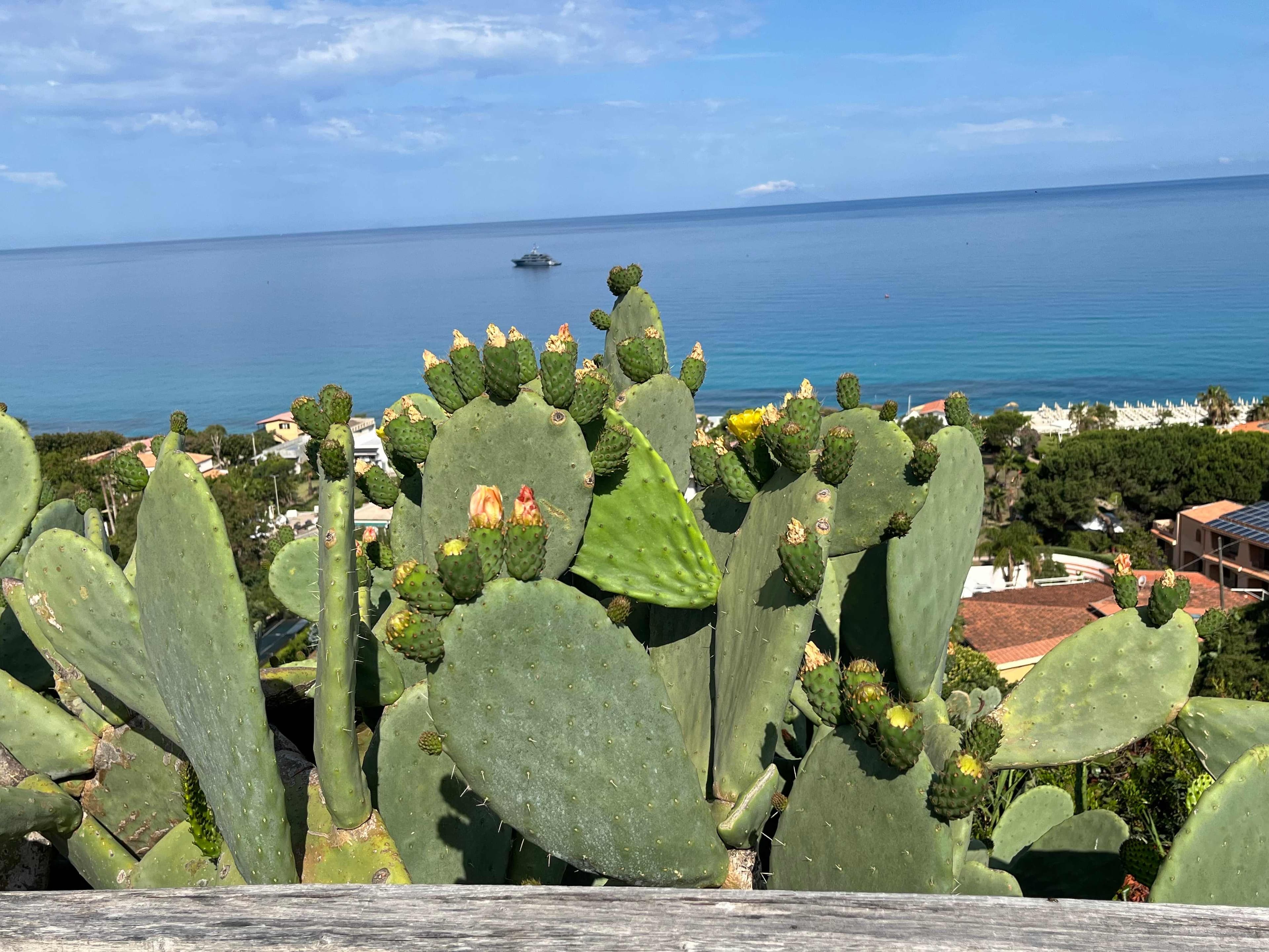Midenza Seaside & Nature Retreat Ansicht 3