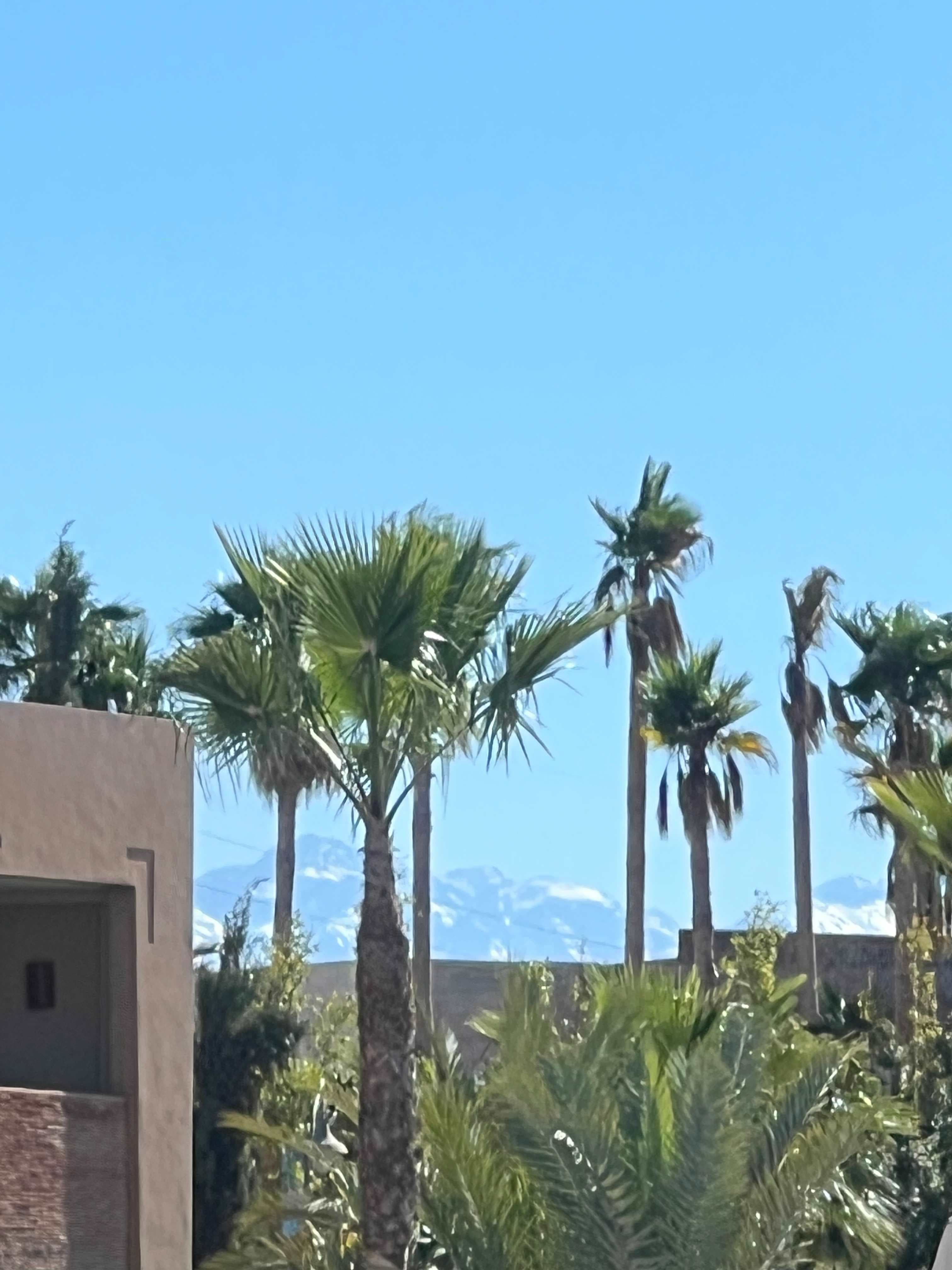 Be Live Collection Marrakech - Adults only Ansicht 3