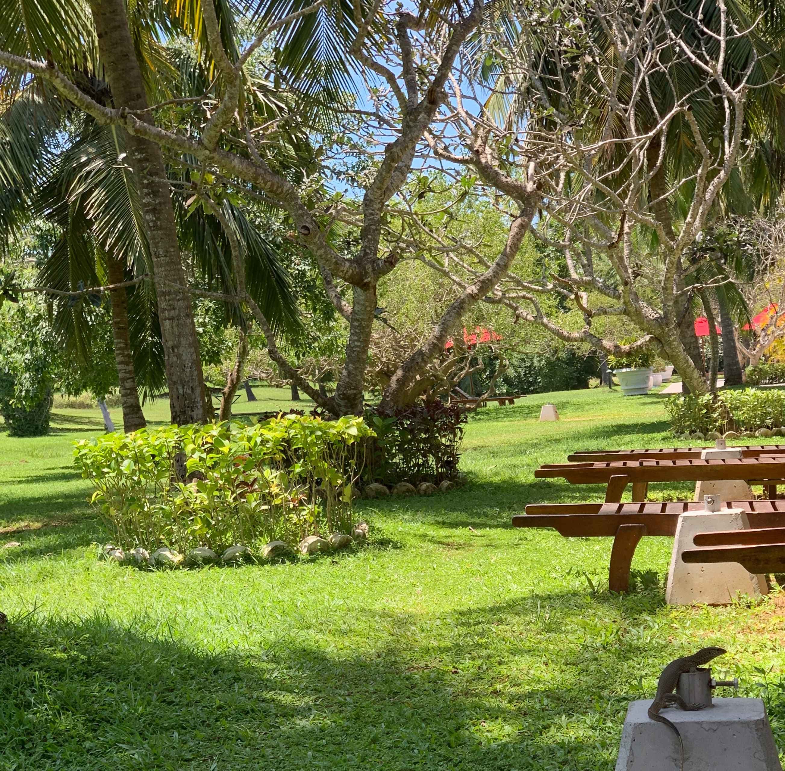 The Oasis Ayurveda Beach Resort Ansicht 8