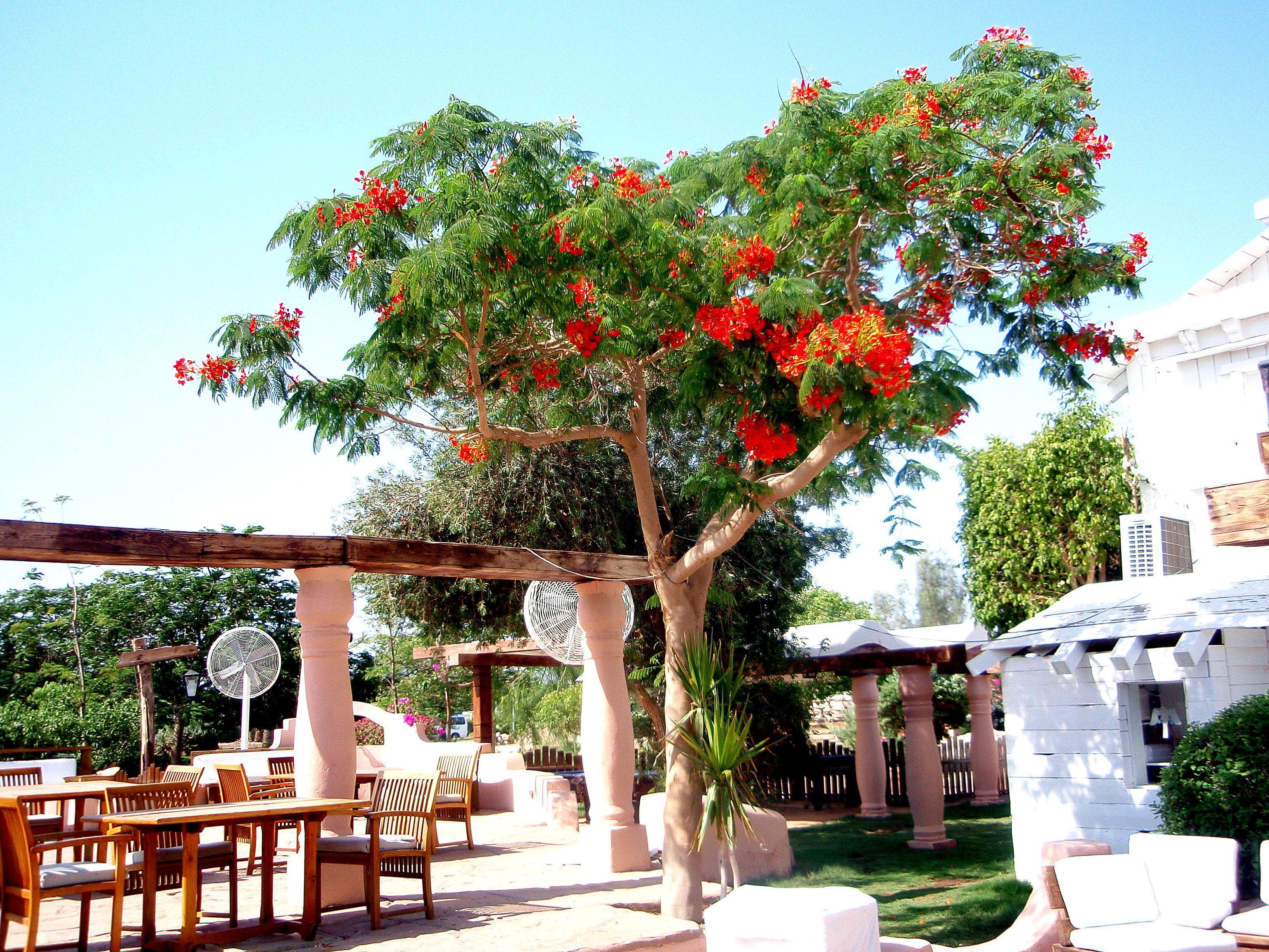 JAZ Sharm Dream Ansicht 9