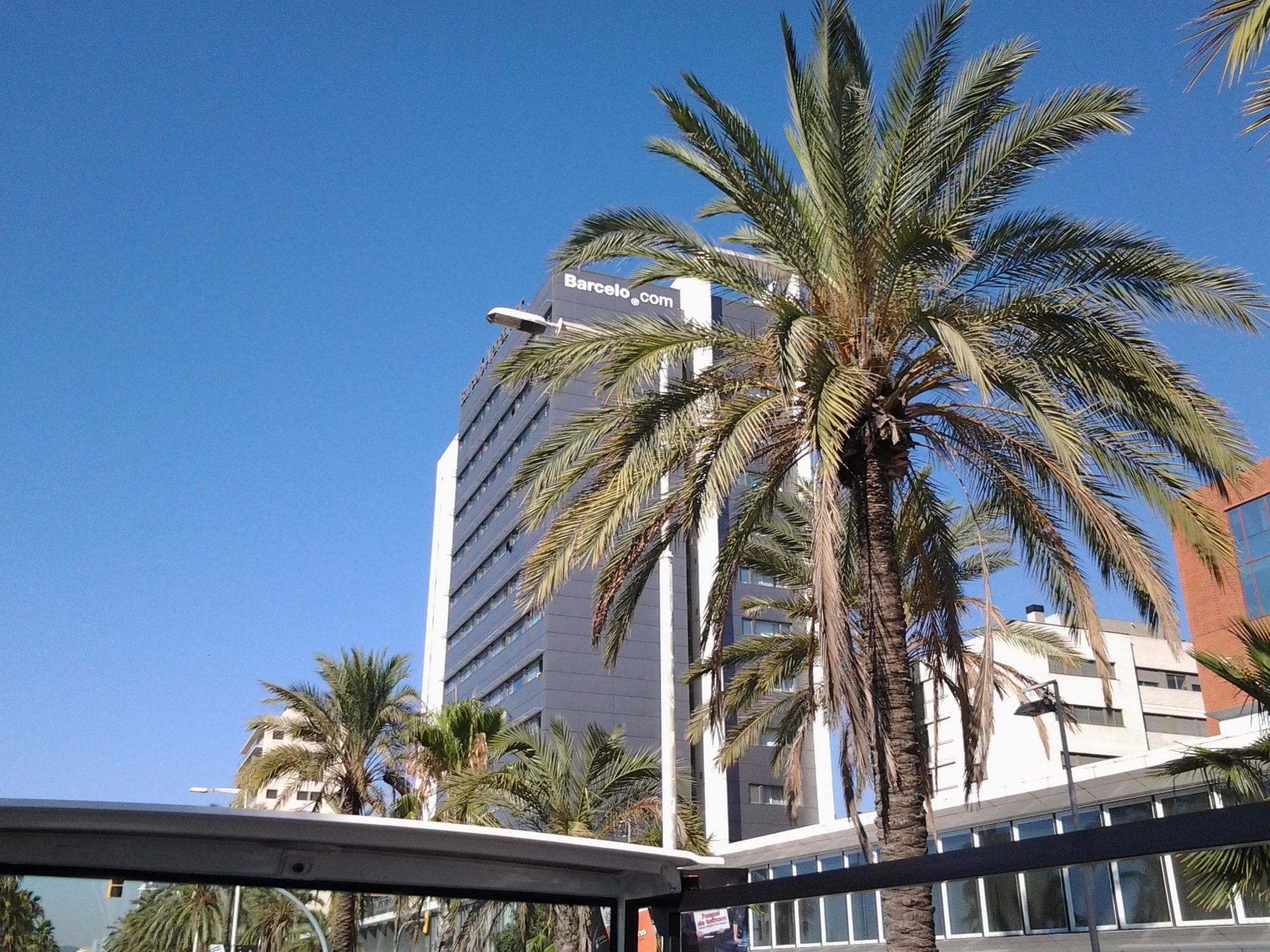 Occidental Atenea Mar - Adults only Ansicht 2