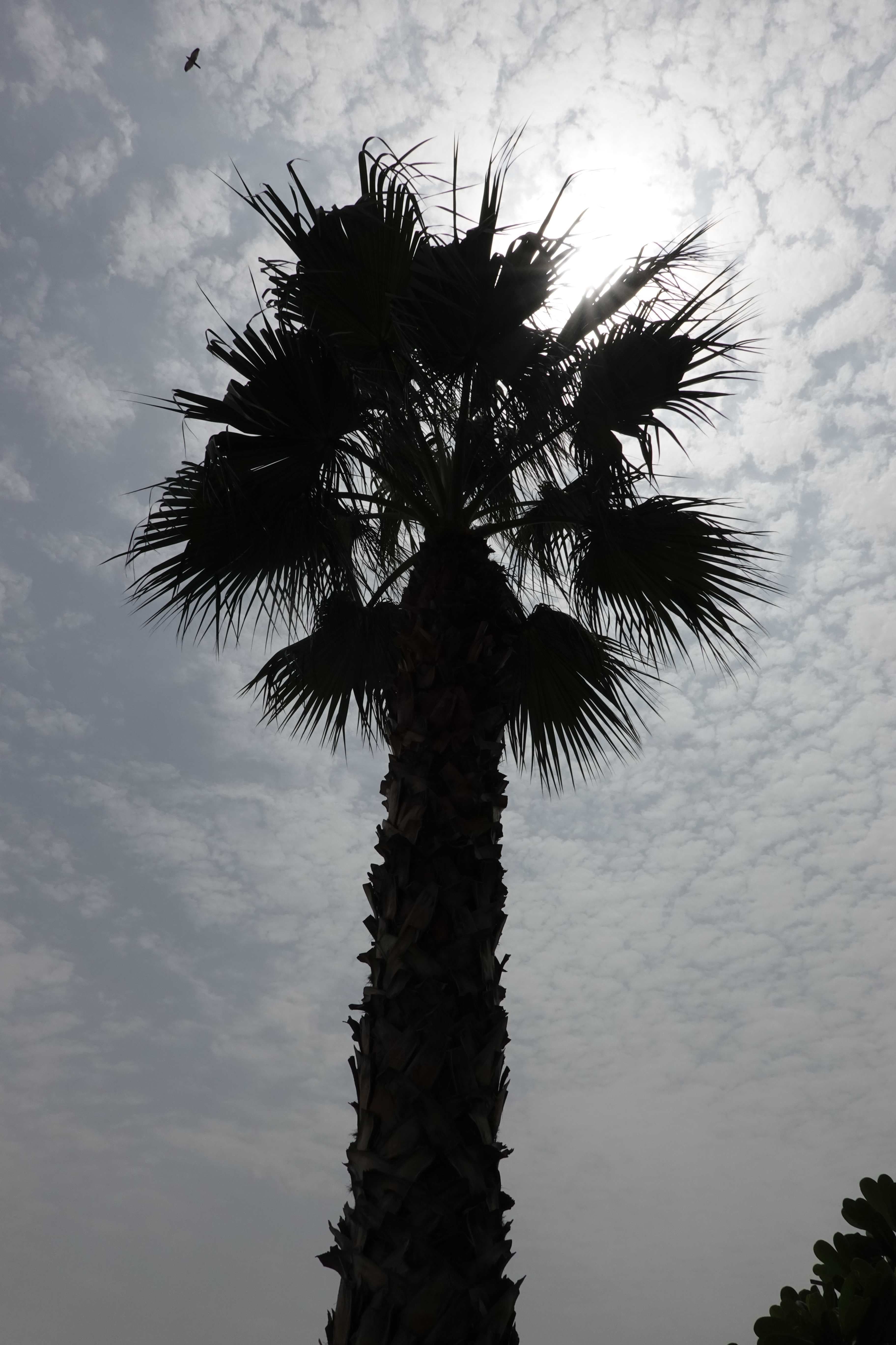 Hyatt Regency Dubai & The Galleria Residenz Ansicht 5