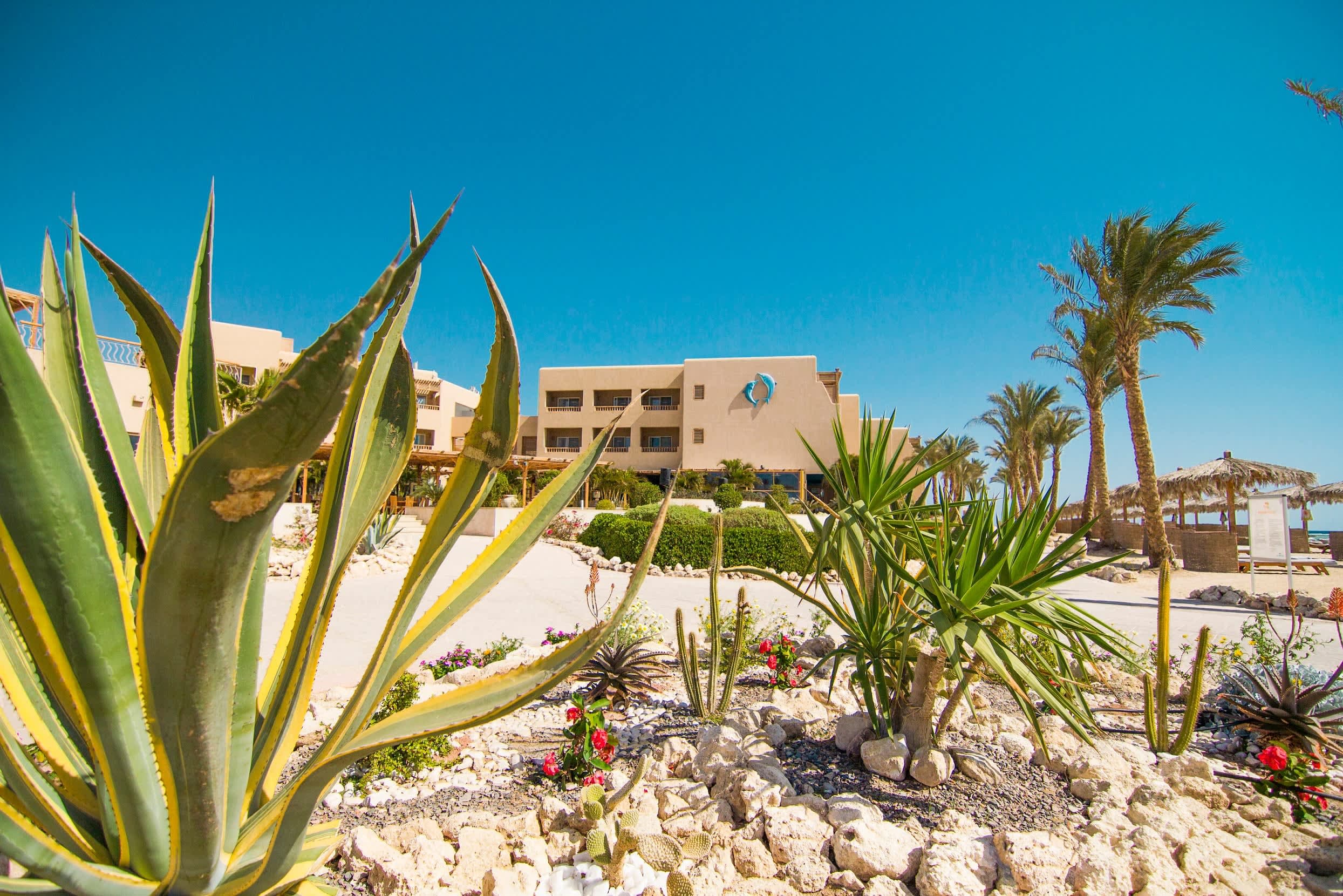The Breakers Diving & Surfing Lodge Ansicht 2